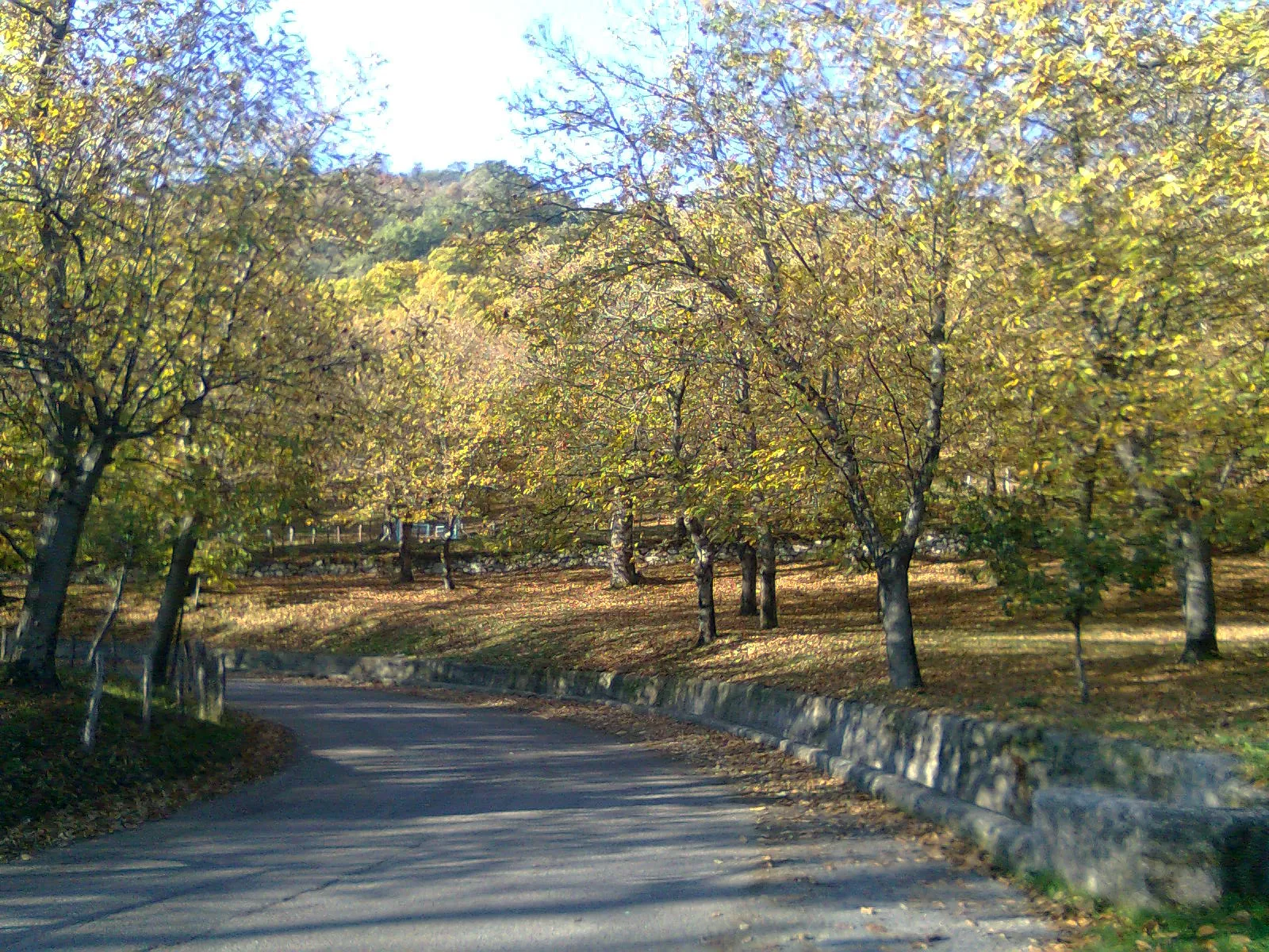 Immagine di Campania