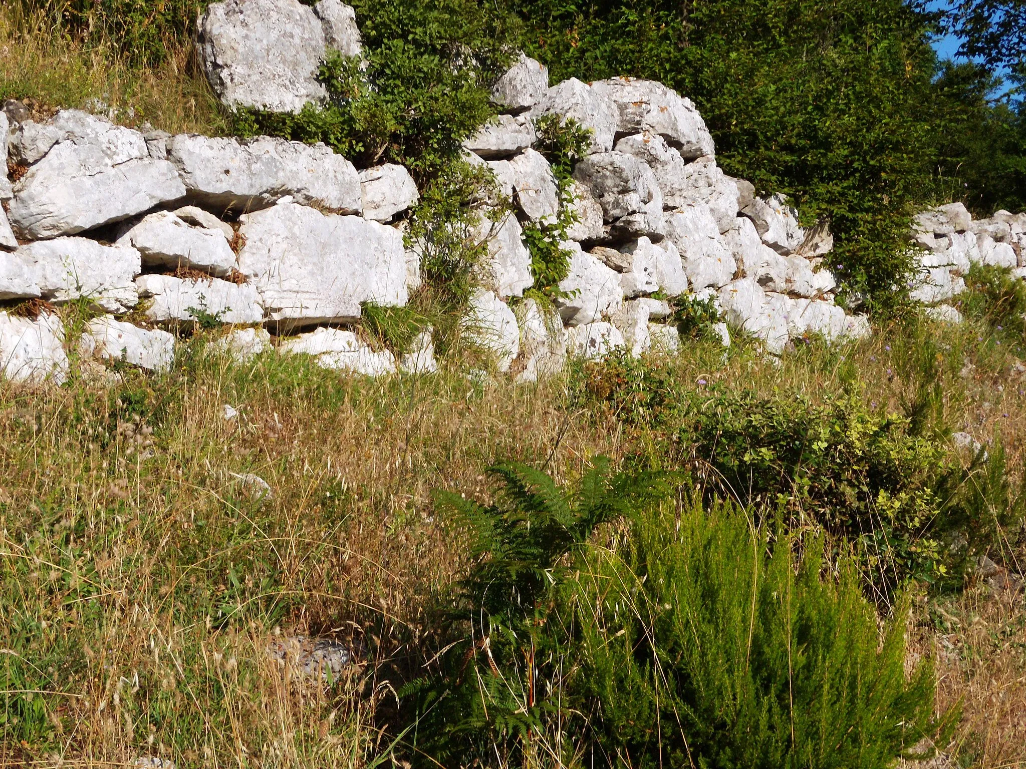 Photo showing: Mura megalitiche osco sannite che costituiscono l'Arce di Monte Acero.