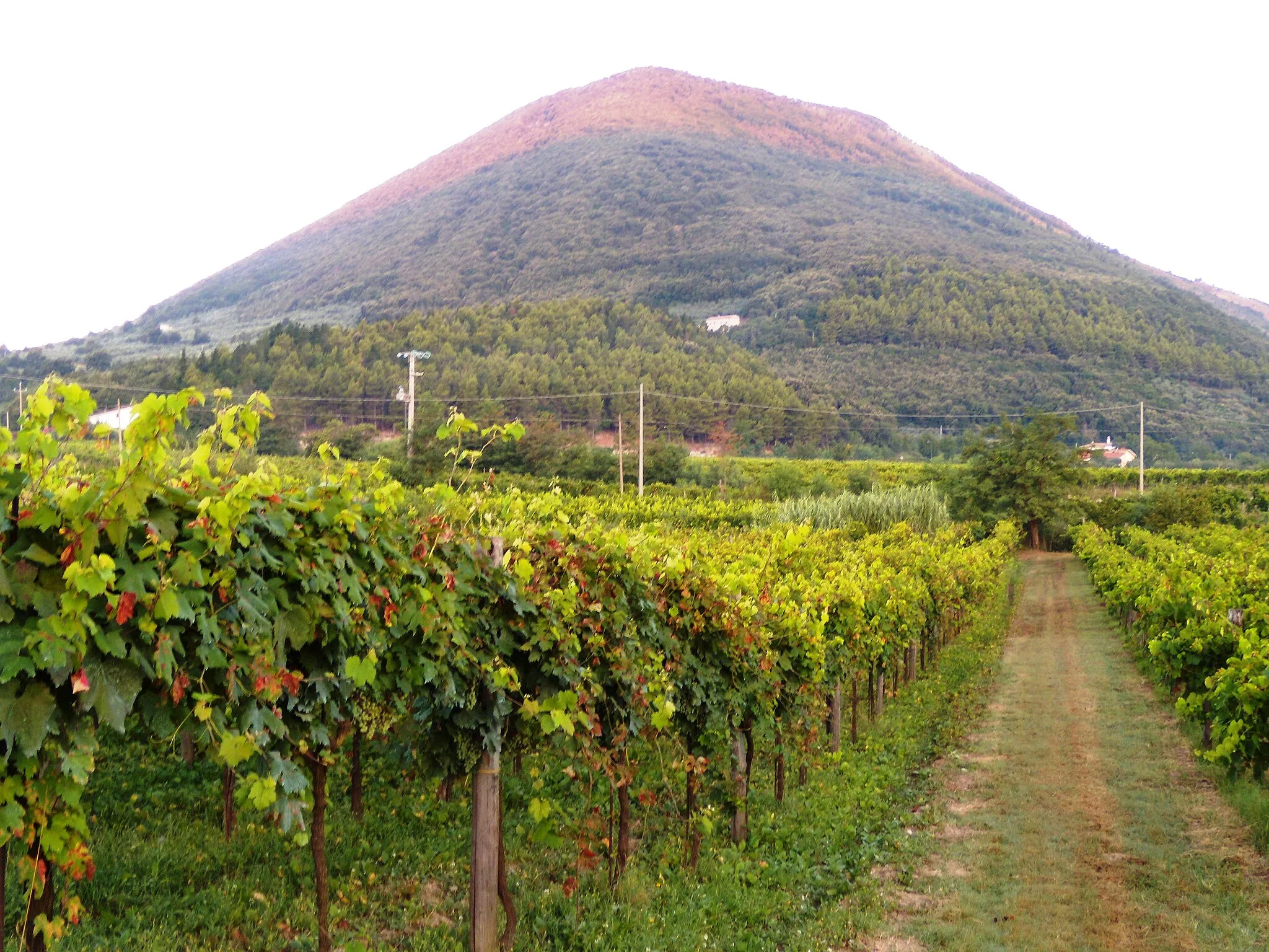 Photo showing: Monte Acero a Faicchio all'inizio del mattino.