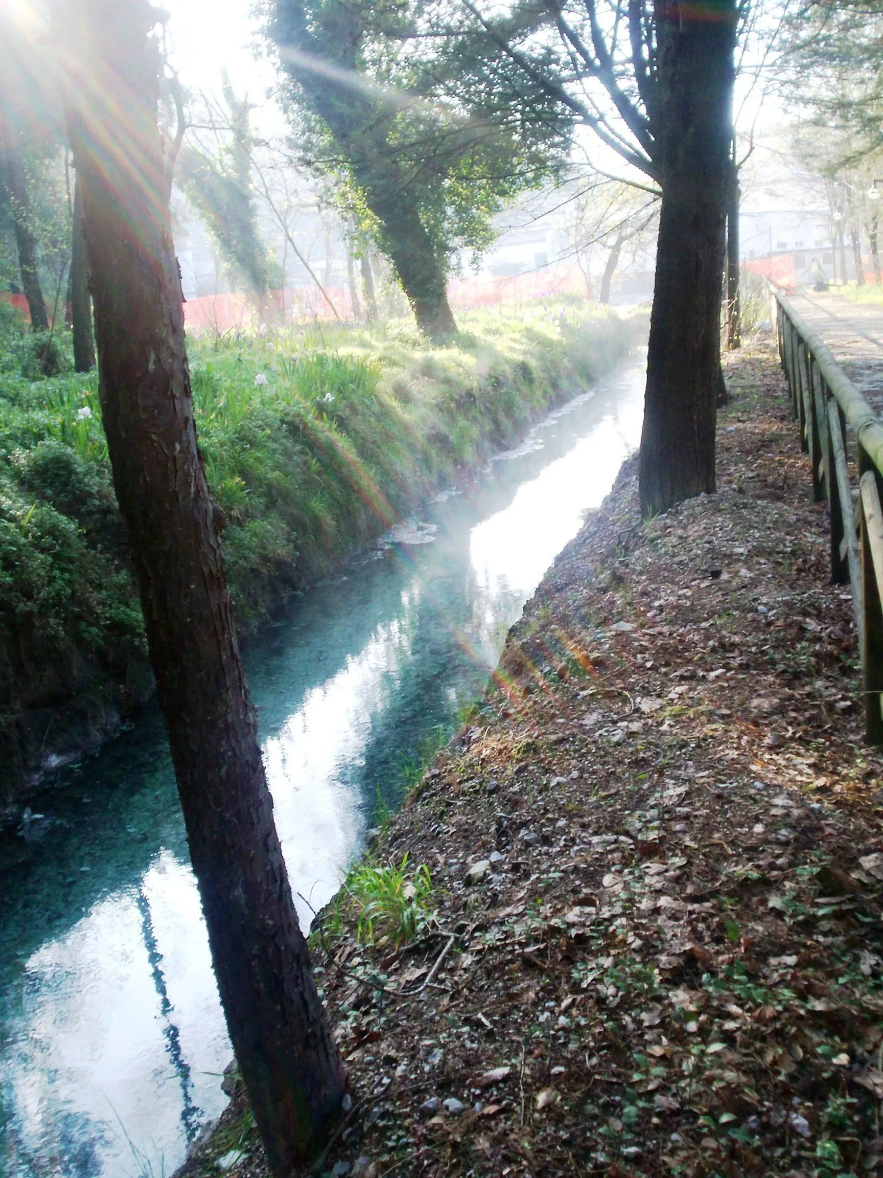Photo showing: particolare di un ruscello all'interno del parco delle terme di Telese Terme ( Bn) di prima mattina