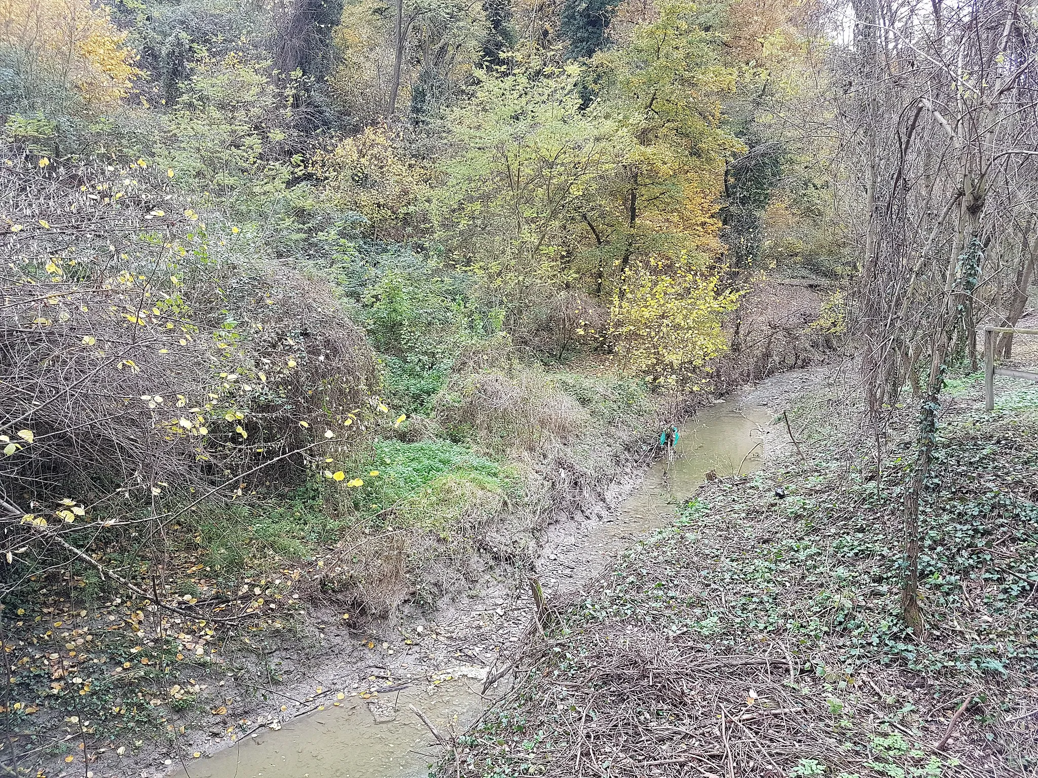 Photo showing: Il torrente Landa nei pressi di Ponterivabella, frazione del comune di Monte San Pietro