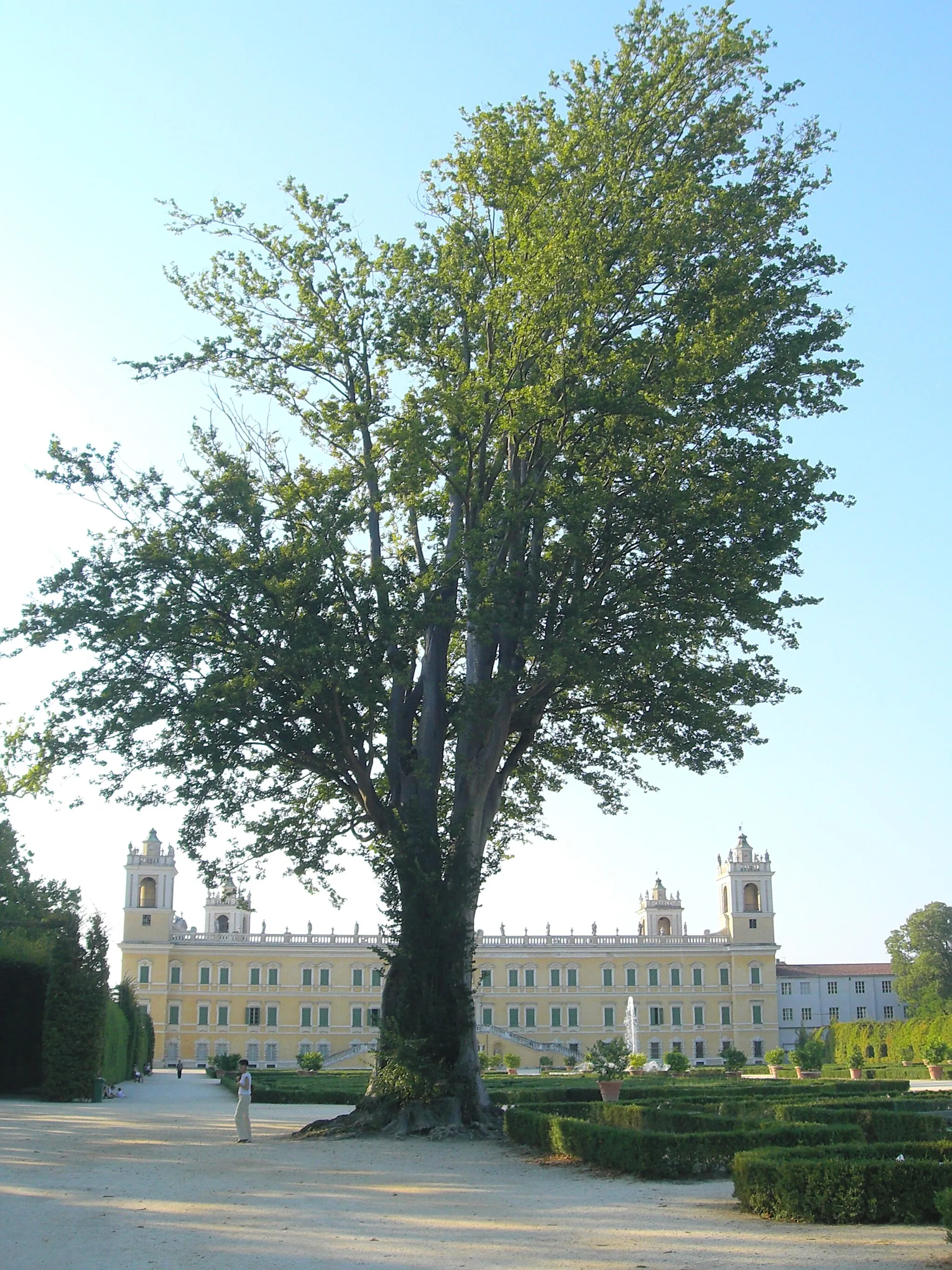 Bilde av Emilia-Romagna