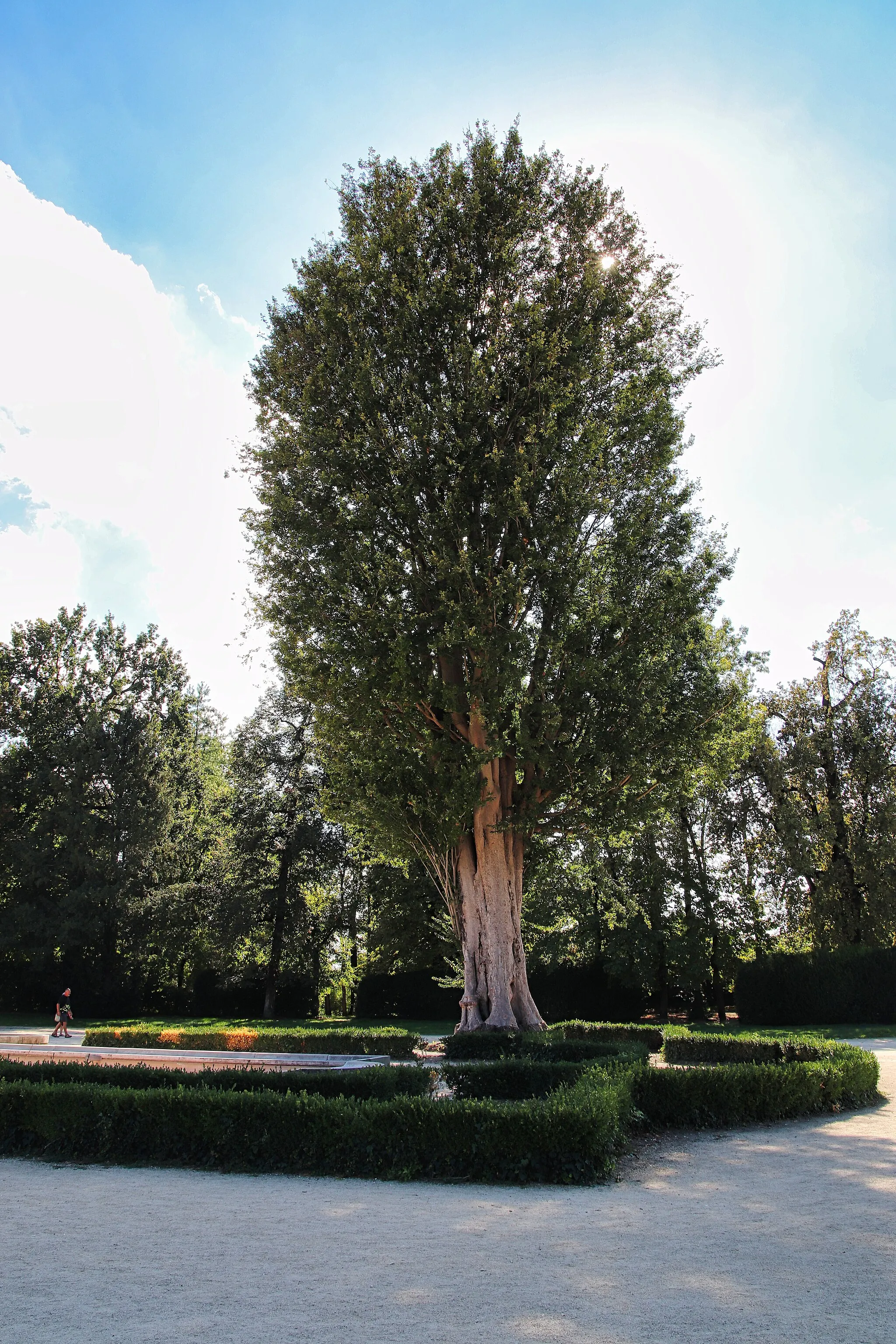 Photo showing: This is a photo of a monument which is part of cultural heritage of Italy. This monument participates in the contest Wiki Loves Monuments Italia 2022. See authorisations.