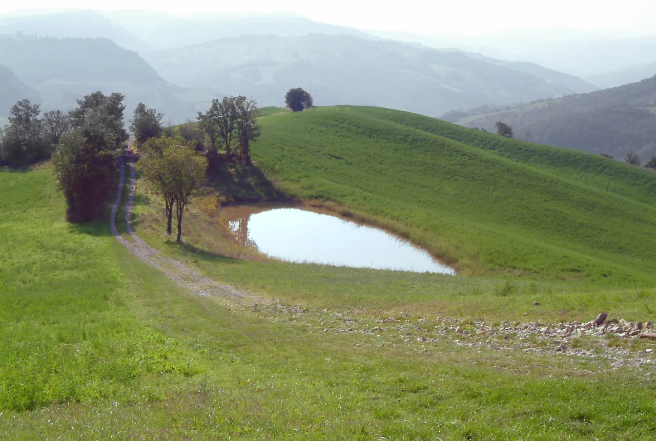 Photo showing: Colline sopra Casona di Marano sul Panaro