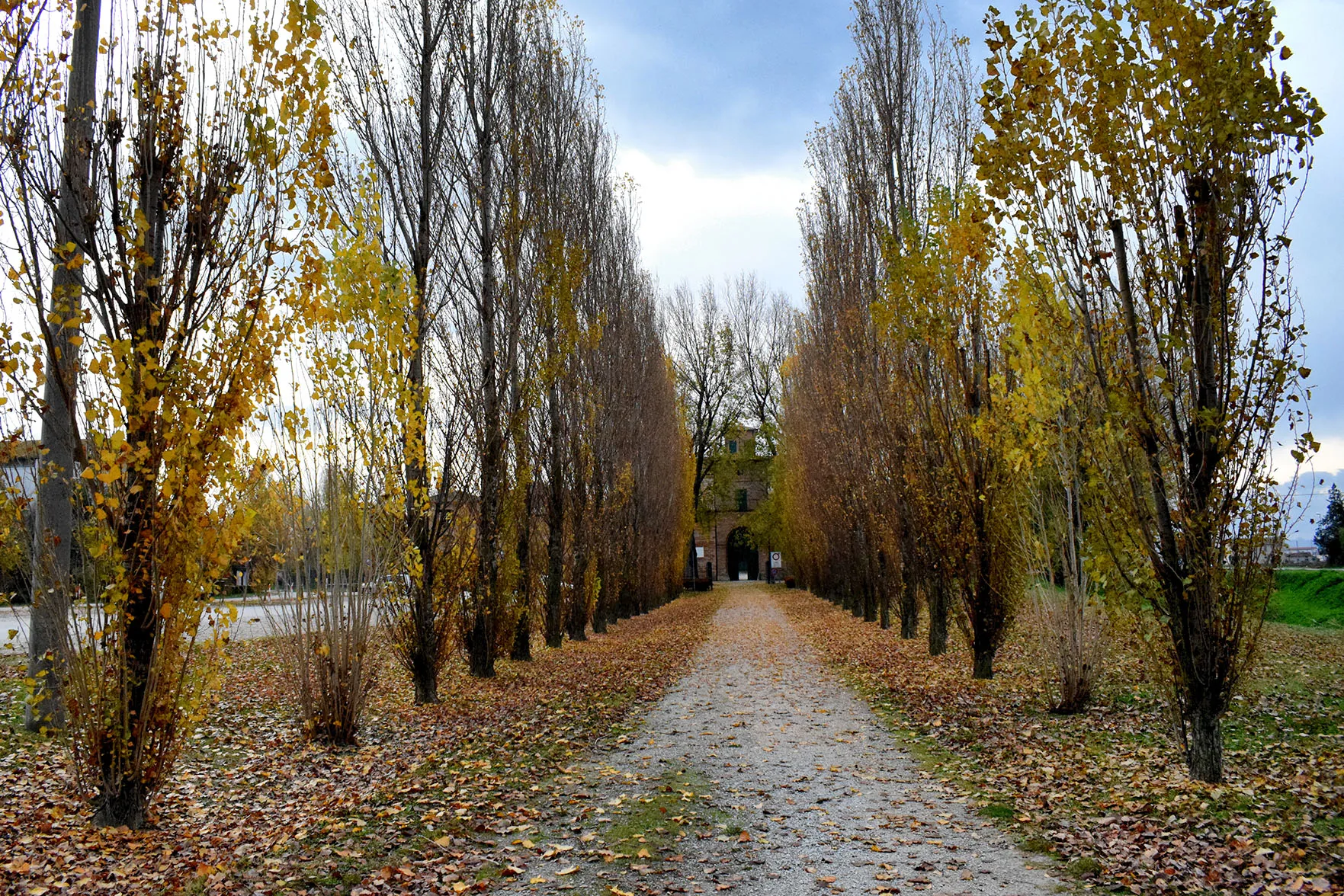 Zdjęcie: San Mauro Pascoli