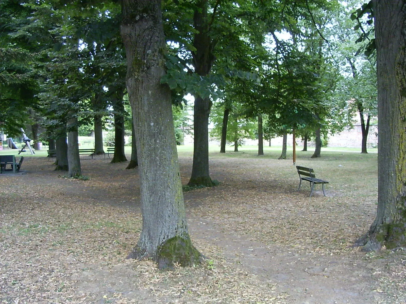 Photo showing: Tresigallo, park