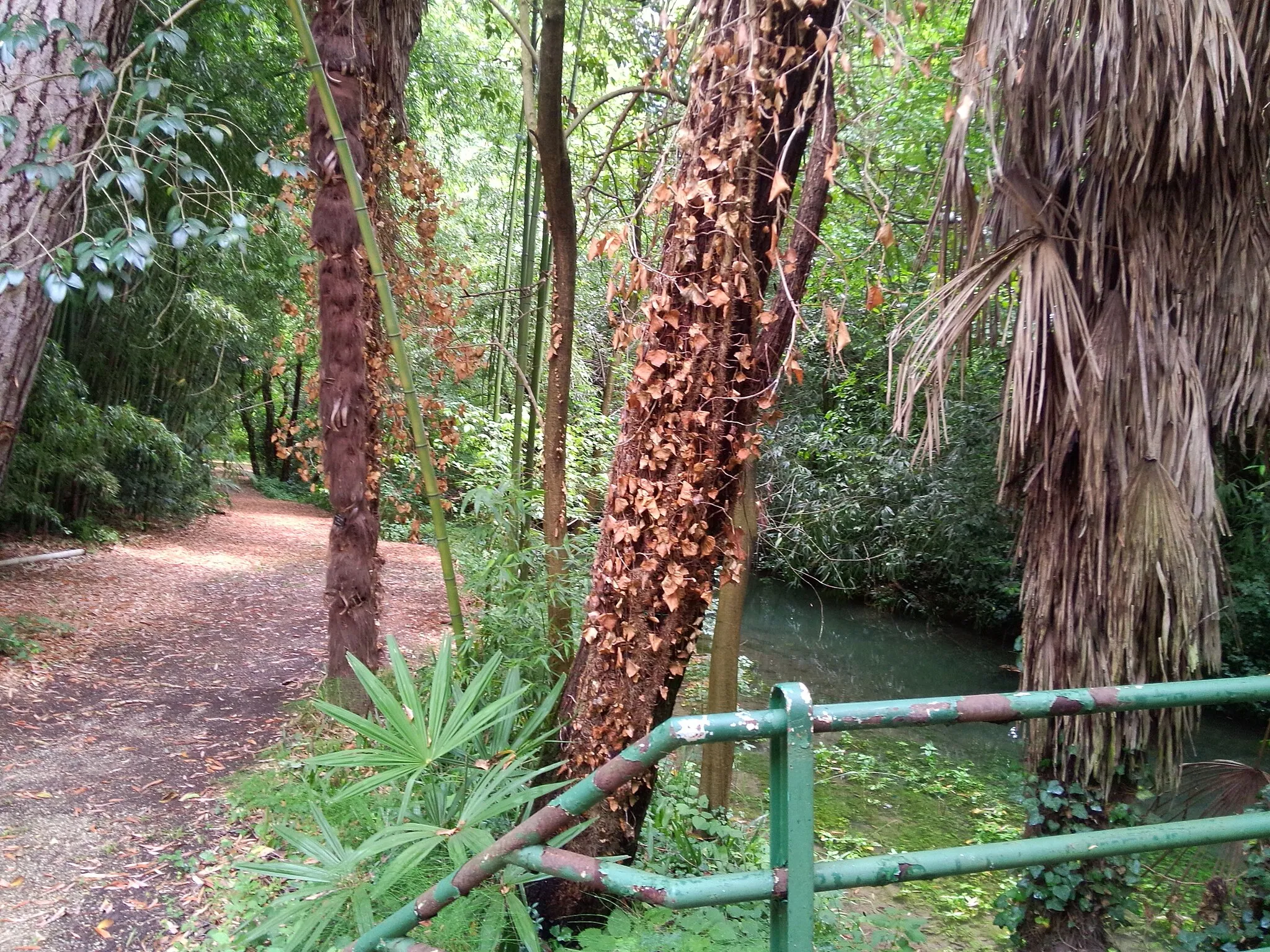 Photo showing: Parco di Villa Chiozza