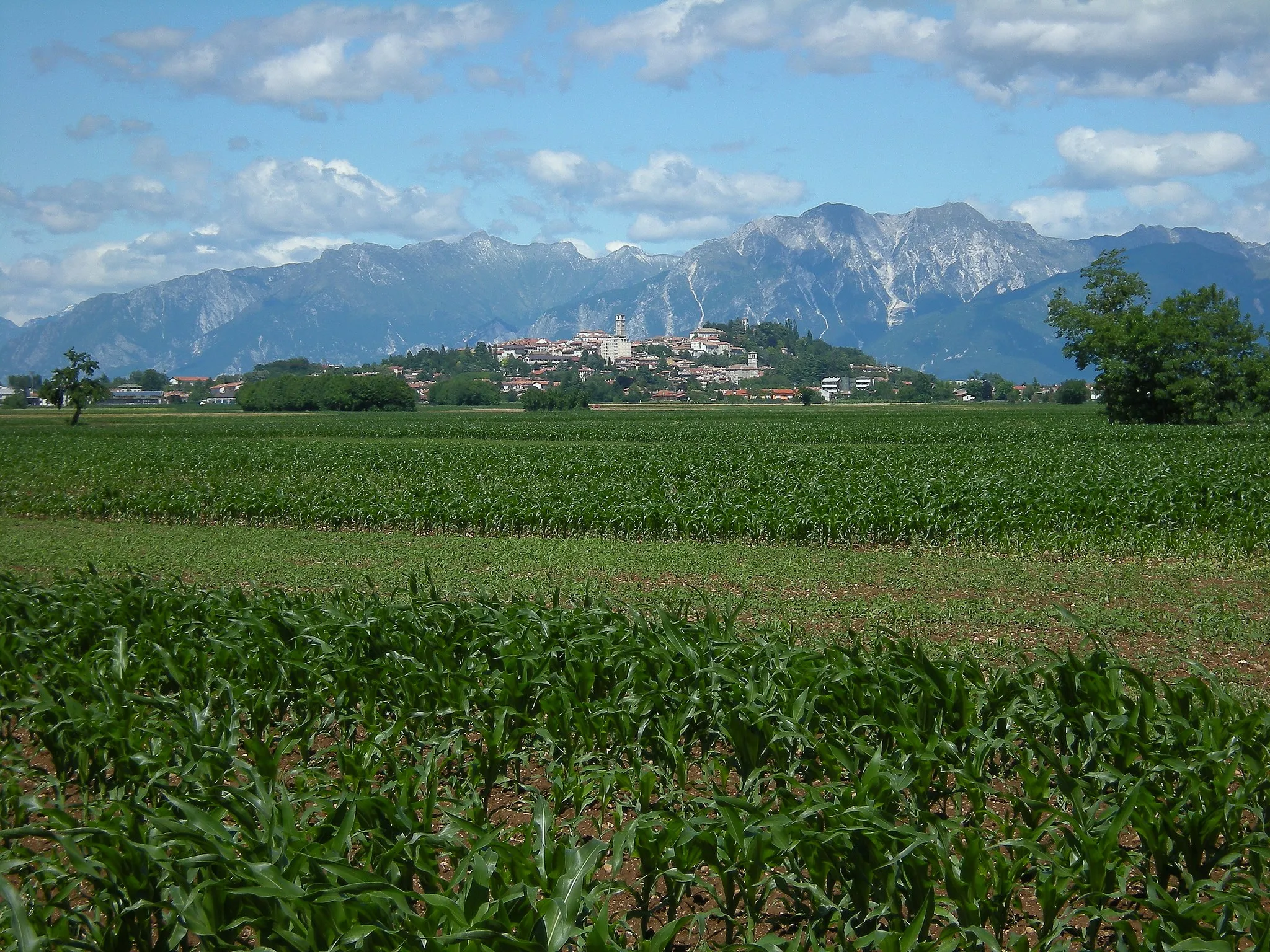 Photo showing: San Daniele del Friuli from Villanova
