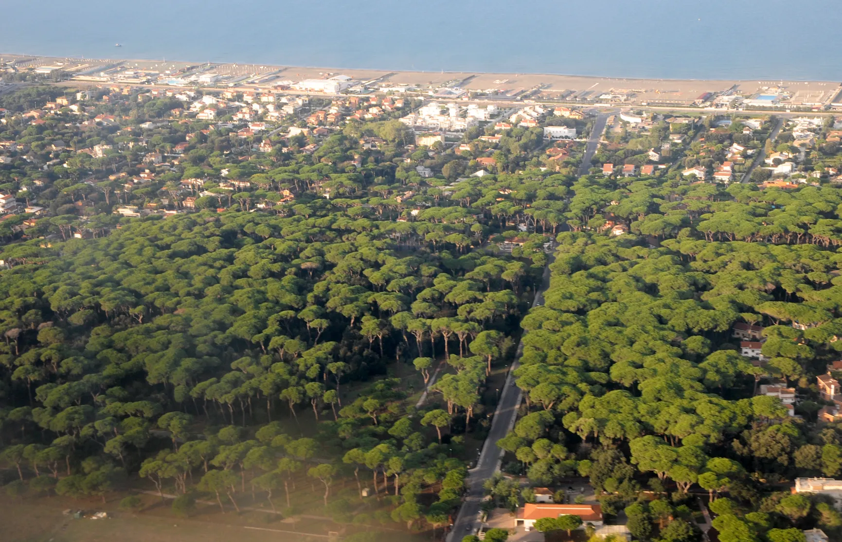 Photo showing: Aerial view of Viale della Pineta di Fregene. The Tyrrhenian Sea with the beaches is seen in the background.