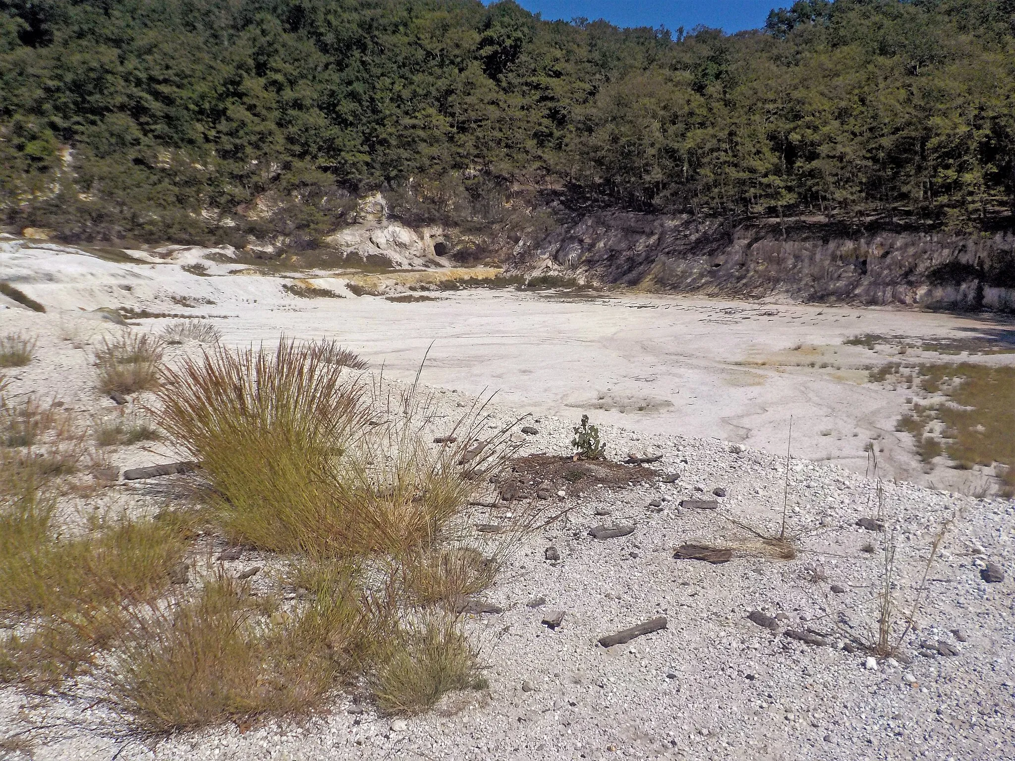 Photo showing: Macchia di Manziana (Q61867445) Geosito alla Macchia di Manziana, la solfatara