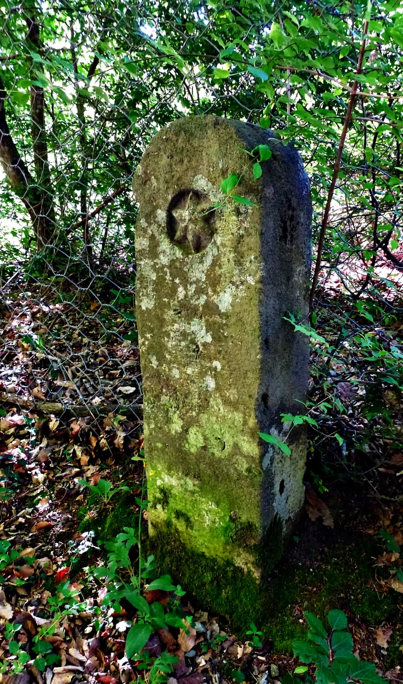 Photo showing: Un cippo di confine  tra i feudi Altieri e Odescalchi sulla strada vecchia per Vicarello, faggeta vetusta depressa di Monte Raschio.