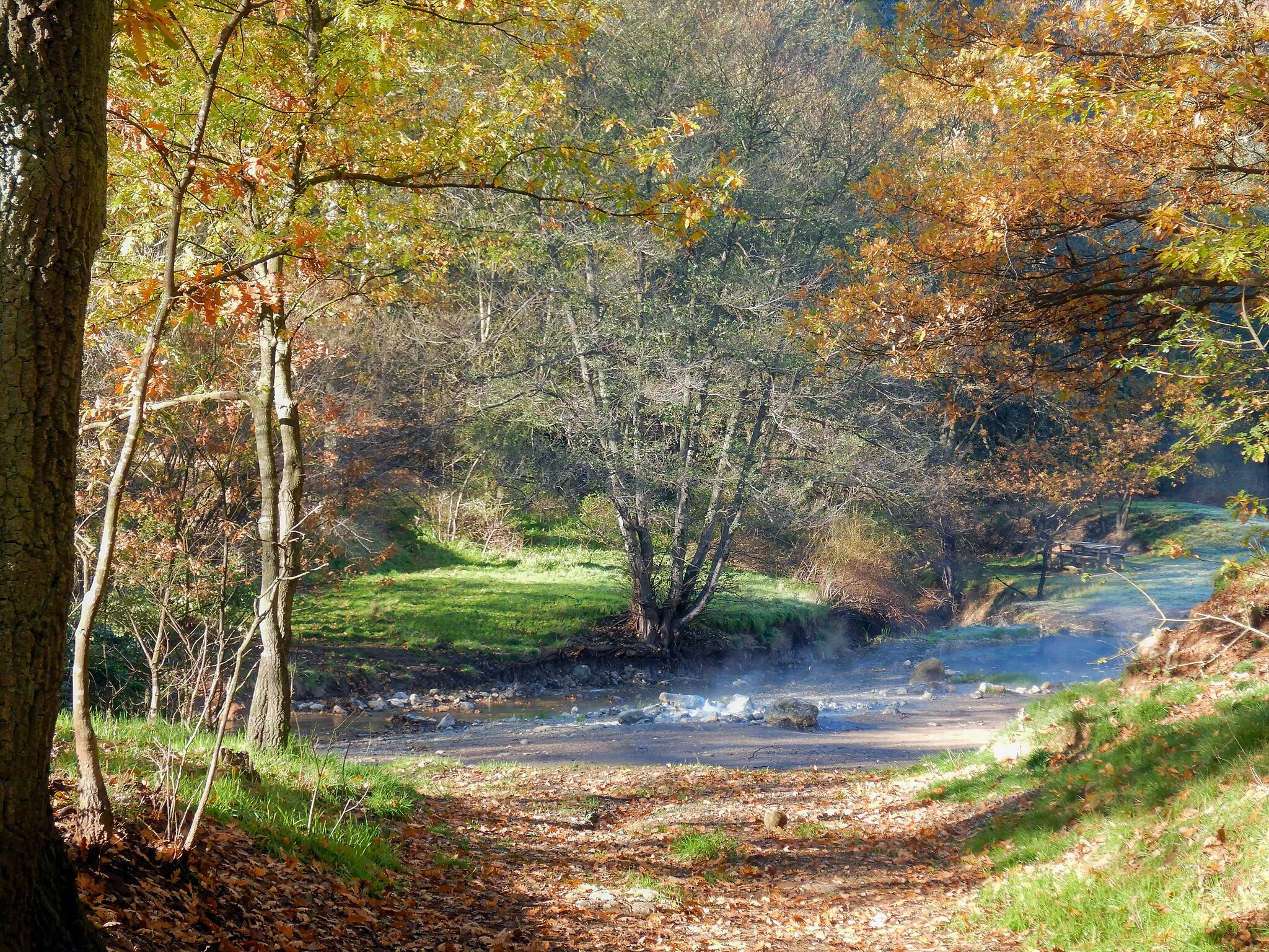 Photo showing: Mola di Oriolo (Q61867407)
Autunno alle sorgenti termali e boschi di querce, Parco della Mola di Oriolo