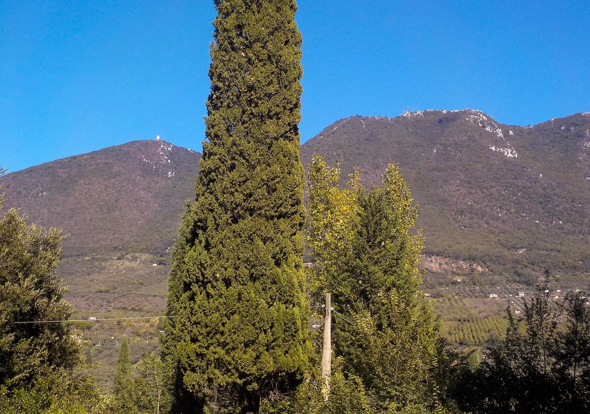 Photo showing: Monte Gennaro (versante sud ovest) (Q61867461)