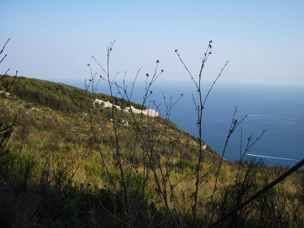 Image of San Felice Circeo