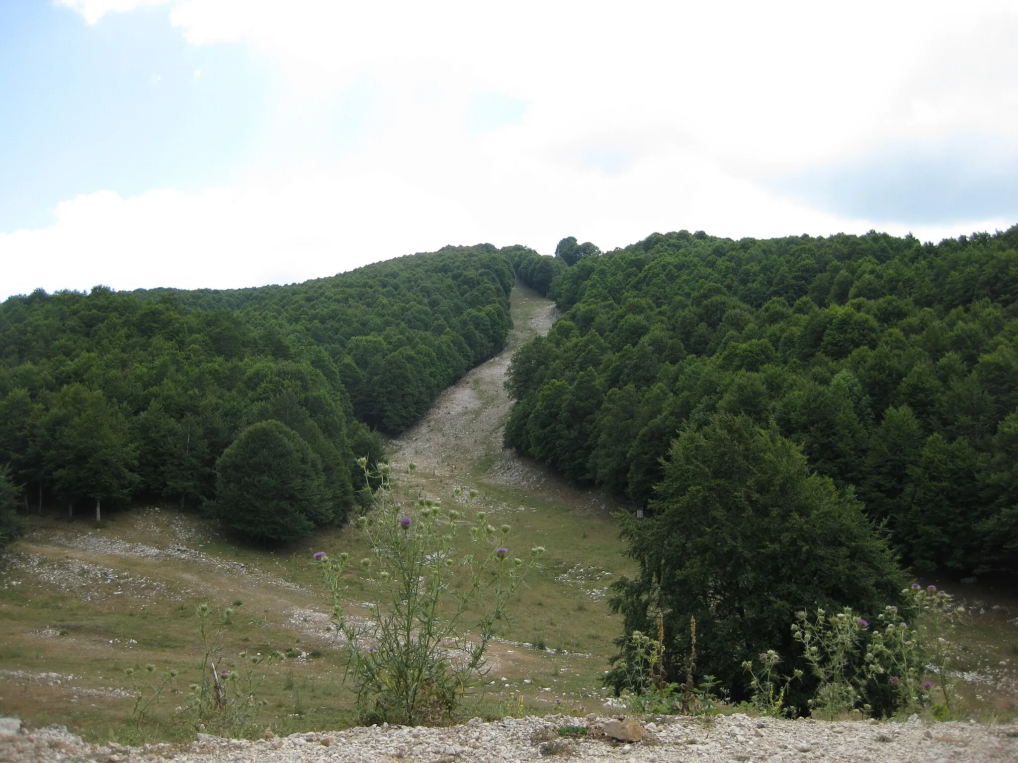 Photo showing: Vista pista nera della Monna dell'Orso, Monte Livata, Catena Monti Simbruini