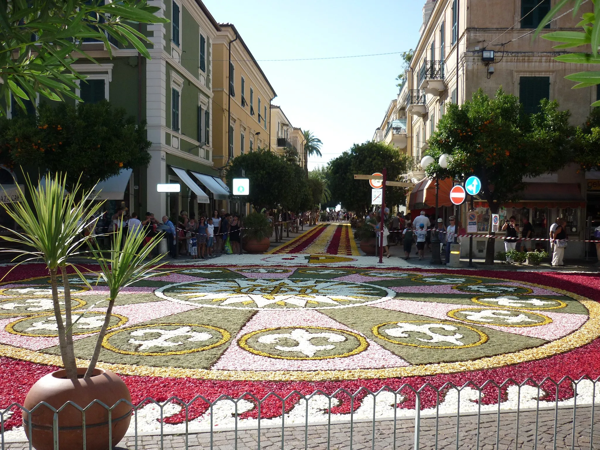 Photo showing: piazza e vie adiacenti ricoperte interamente da petali di fiori in maggioranza rose