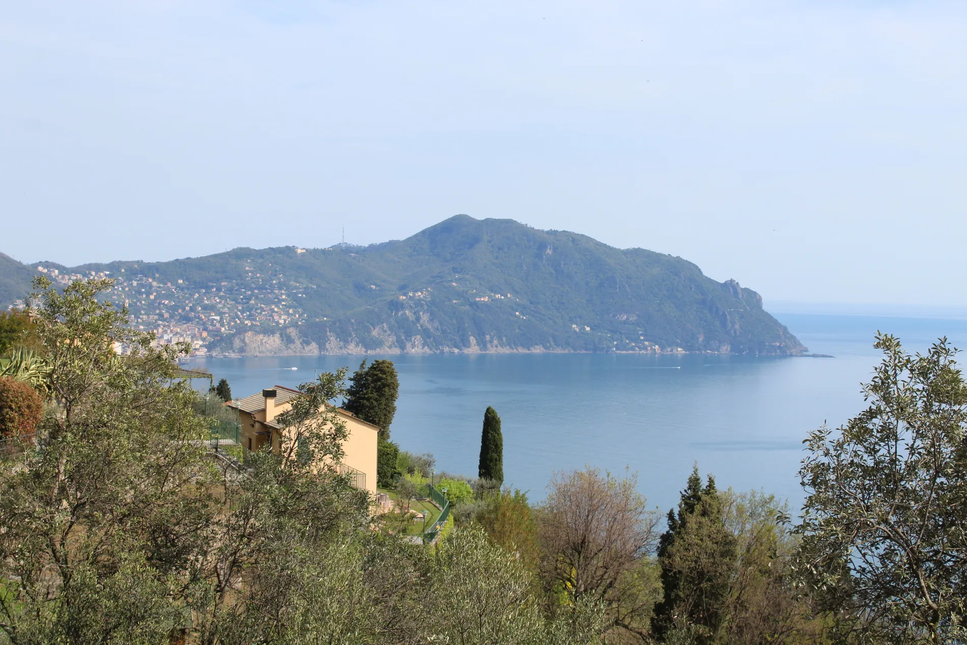 Photo showing: Il promontorio di Portofino visto da Pieve Ligure