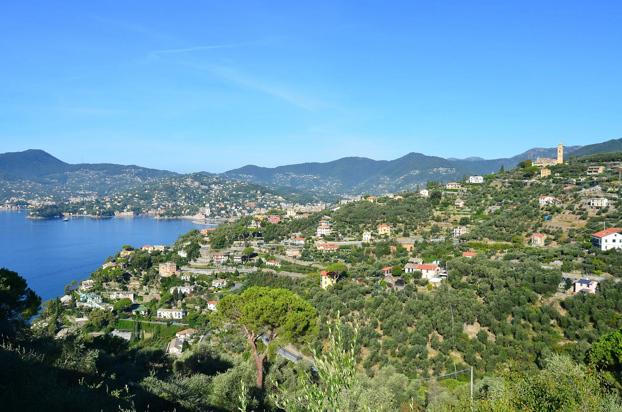 Photo showing: Panorama della frazione di Sant'Ambrogio, Zoagli, Liguria, Italia