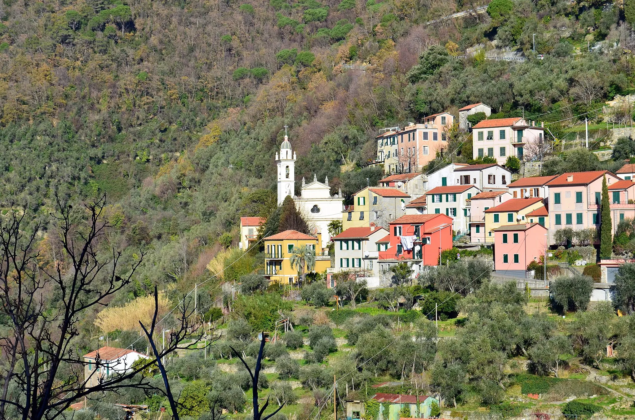Photo showing: Semorile, Zoagli, Liguria, Italia