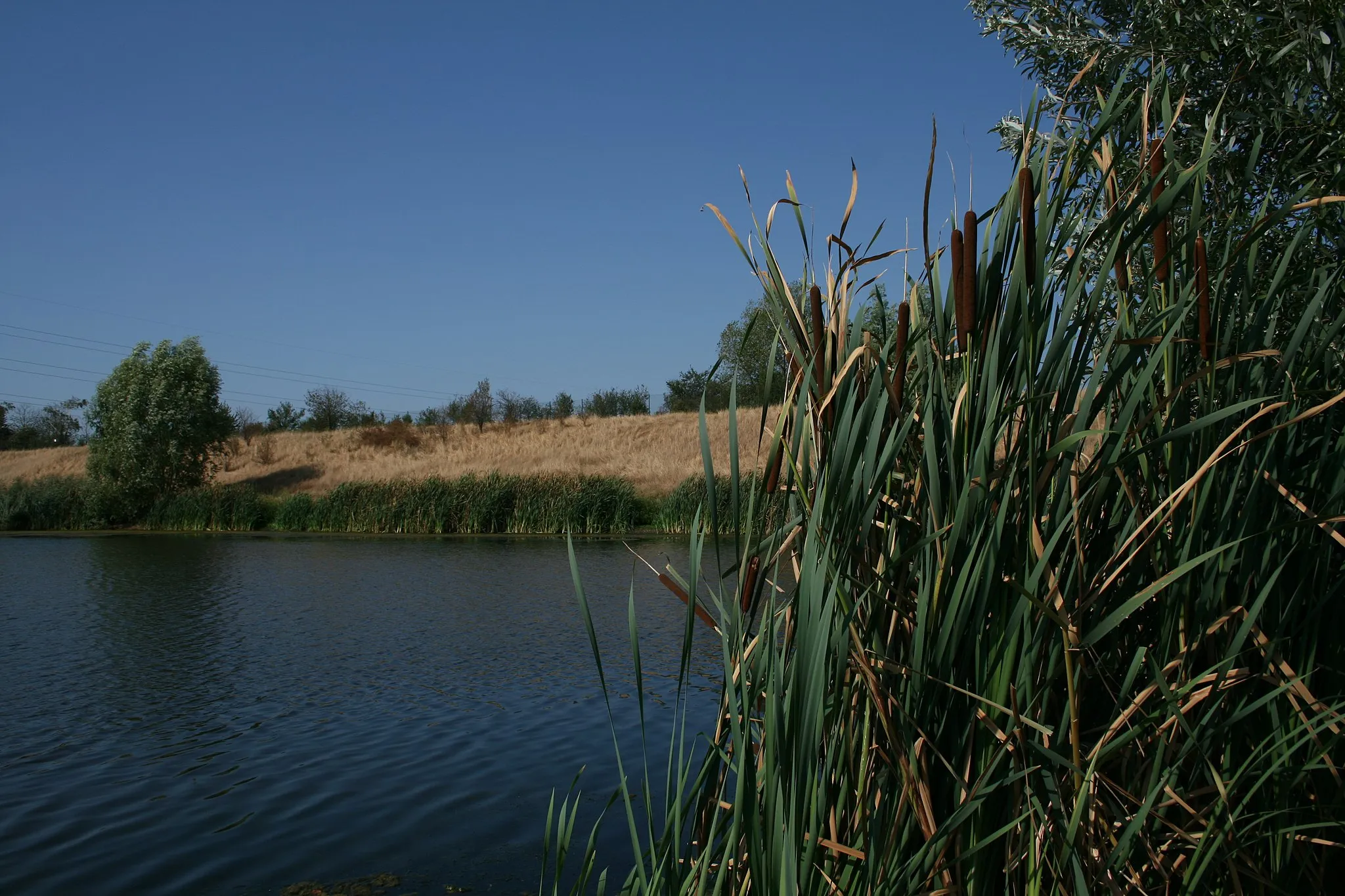 Immagine di Lombardia