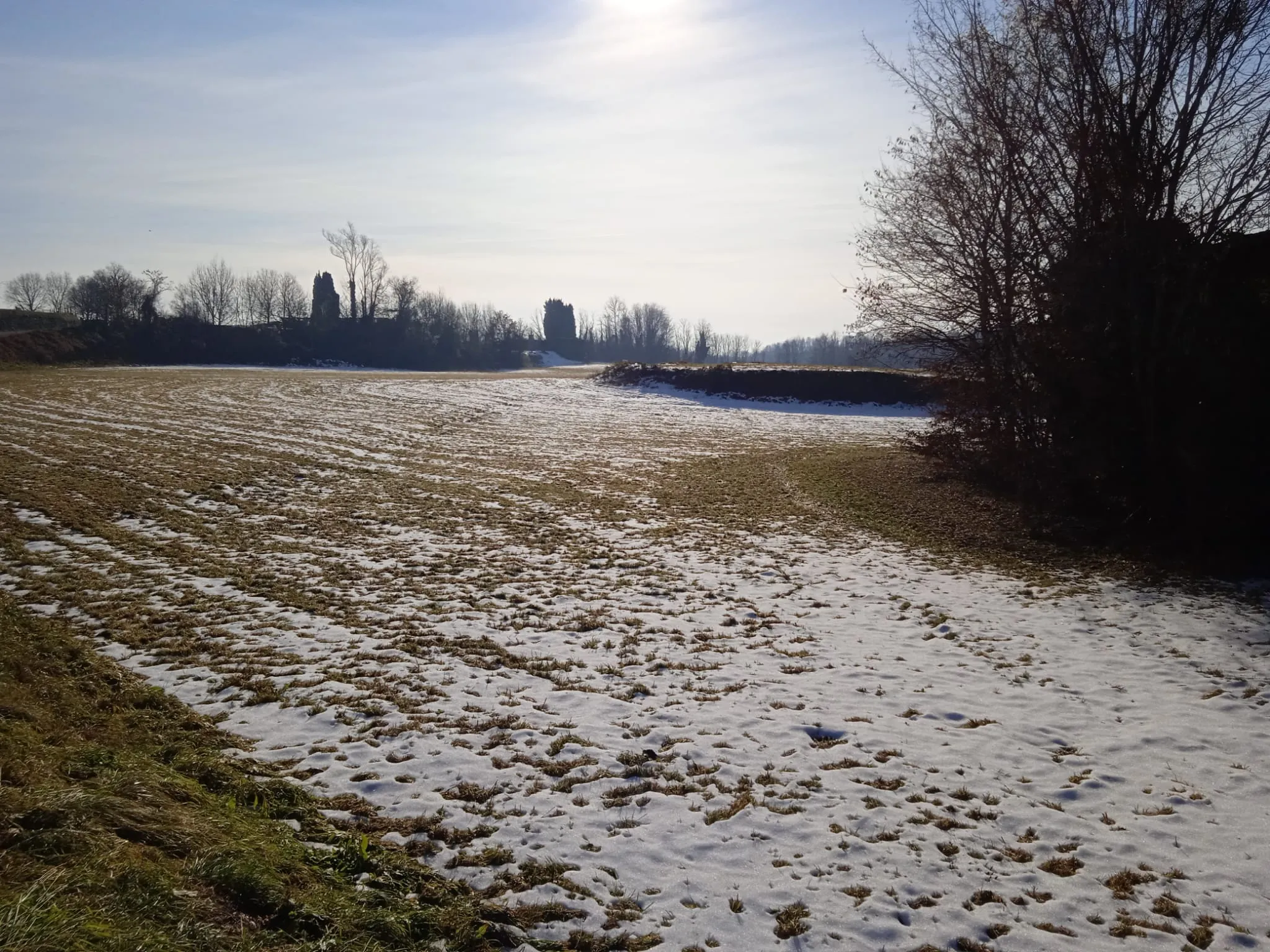 Photo showing: A bit of snow in Alzate Brianza