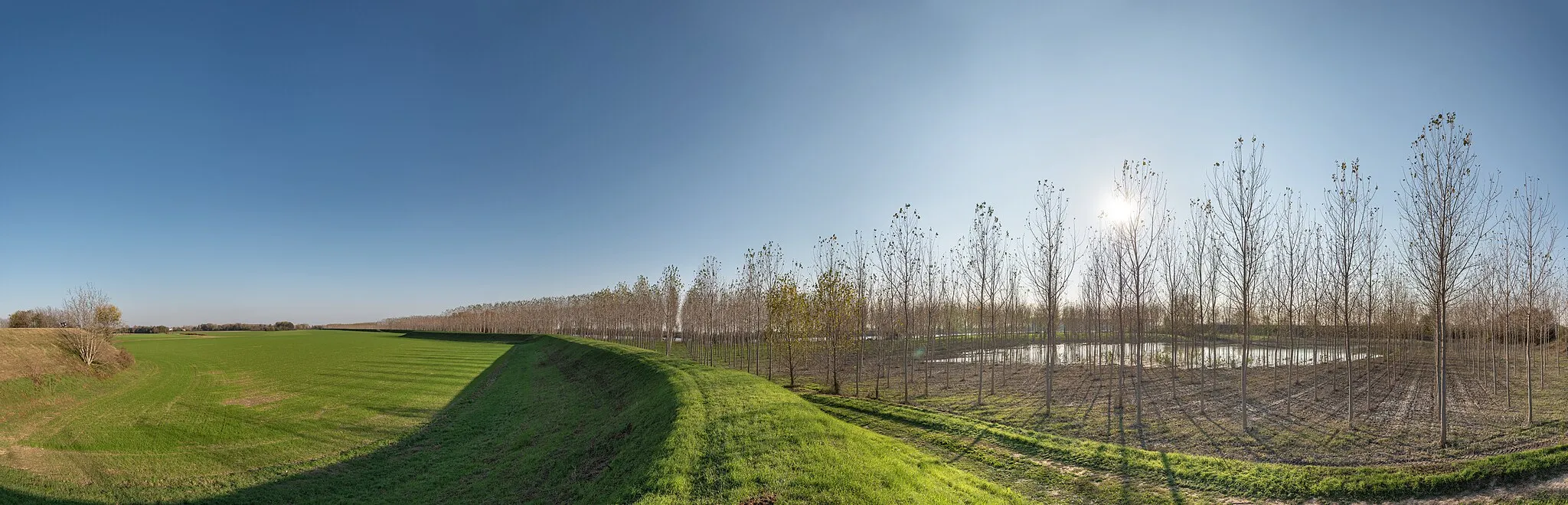 Photo showing: Argine fiume Po - Bagnolo San Vito, Mantova, Italia