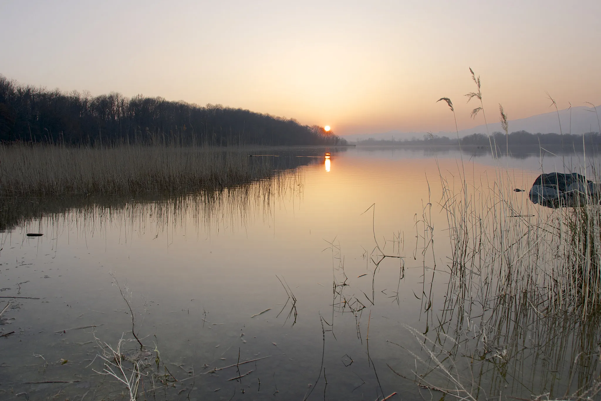 Photo showing: 500px provided description: Canneto [#landscape ,#lake ,#sun ,#italy ,#view ,#panorama ,#pusiano ,#brianza ,#bosisio]