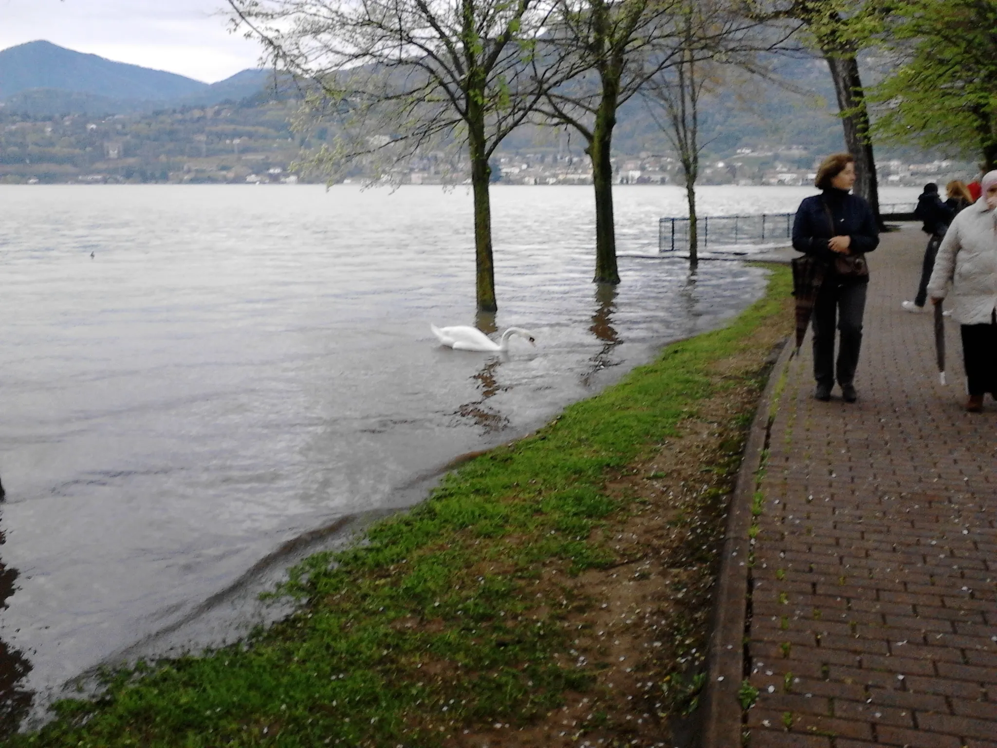 Photo showing: Lakefront in BOSISIO PARINI - ITALY