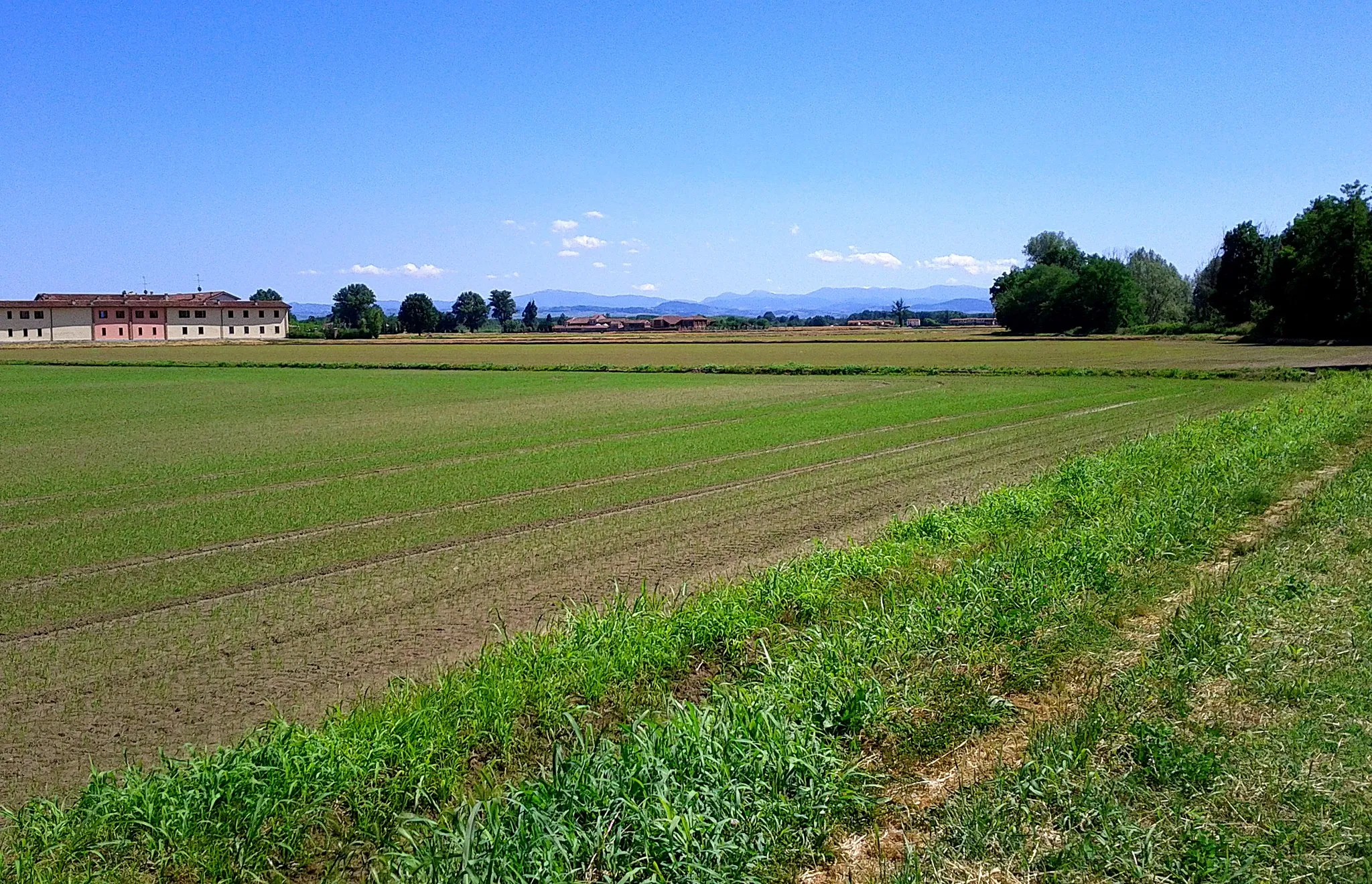Photo showing: A photo of the countryside in Travacò Siccomario by Luigi Rosa, Flickr