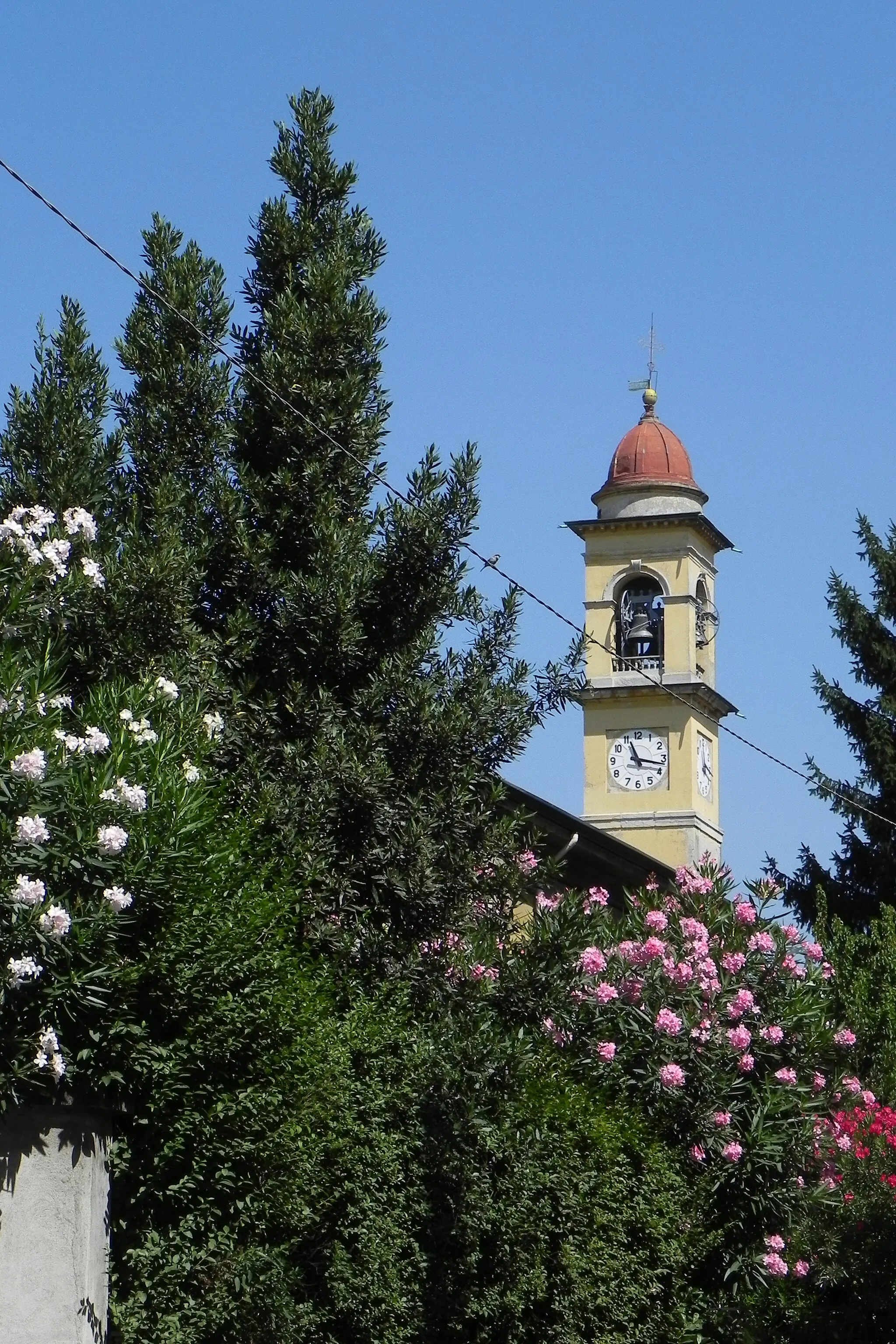 Photo showing: Il campanile di San Martino in Balsamo, dietro agli oleandri dell'oratorio Pio XI.
