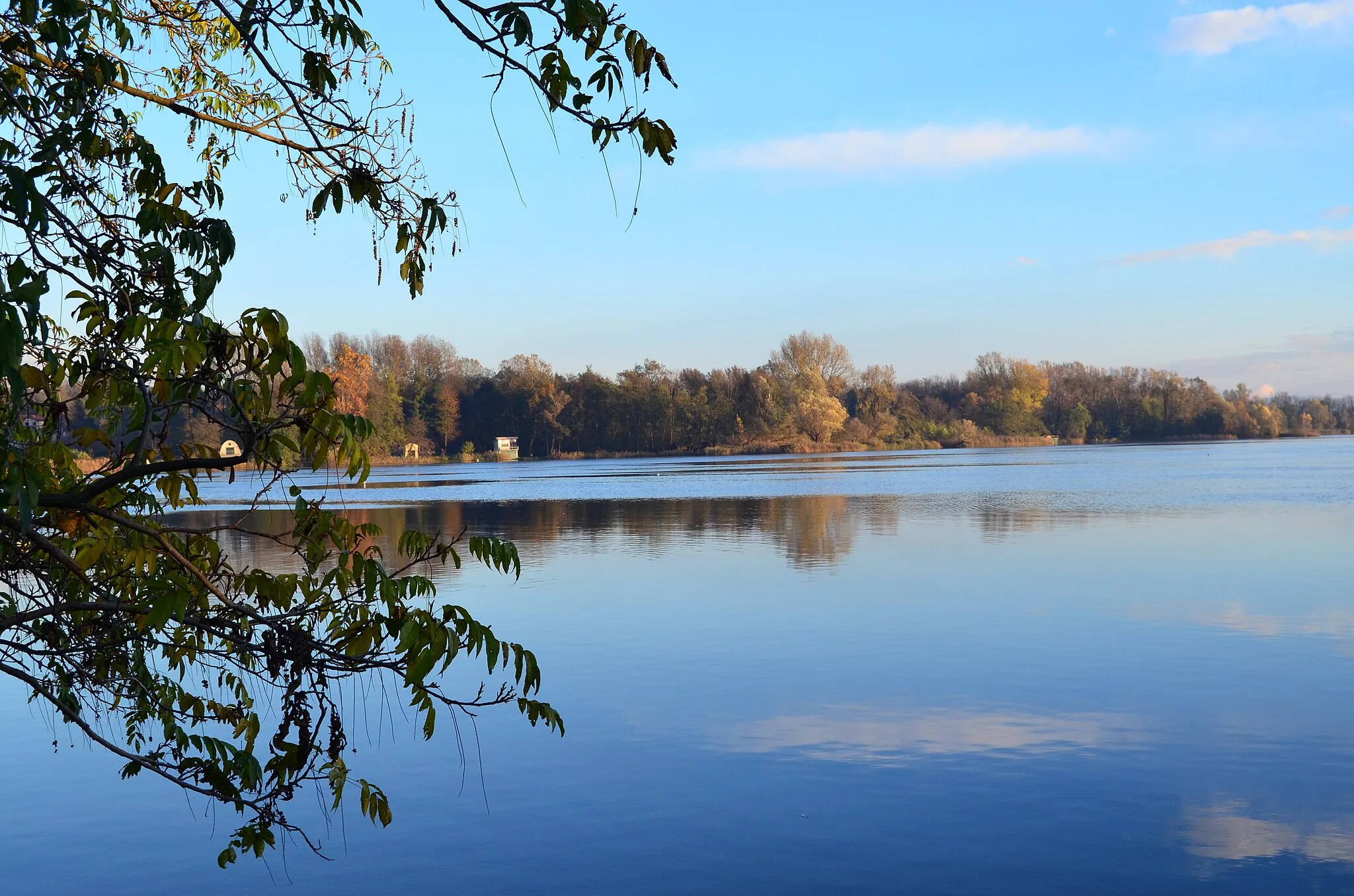 Photo showing: Varese Lake seen from the bikepath in Gavirate