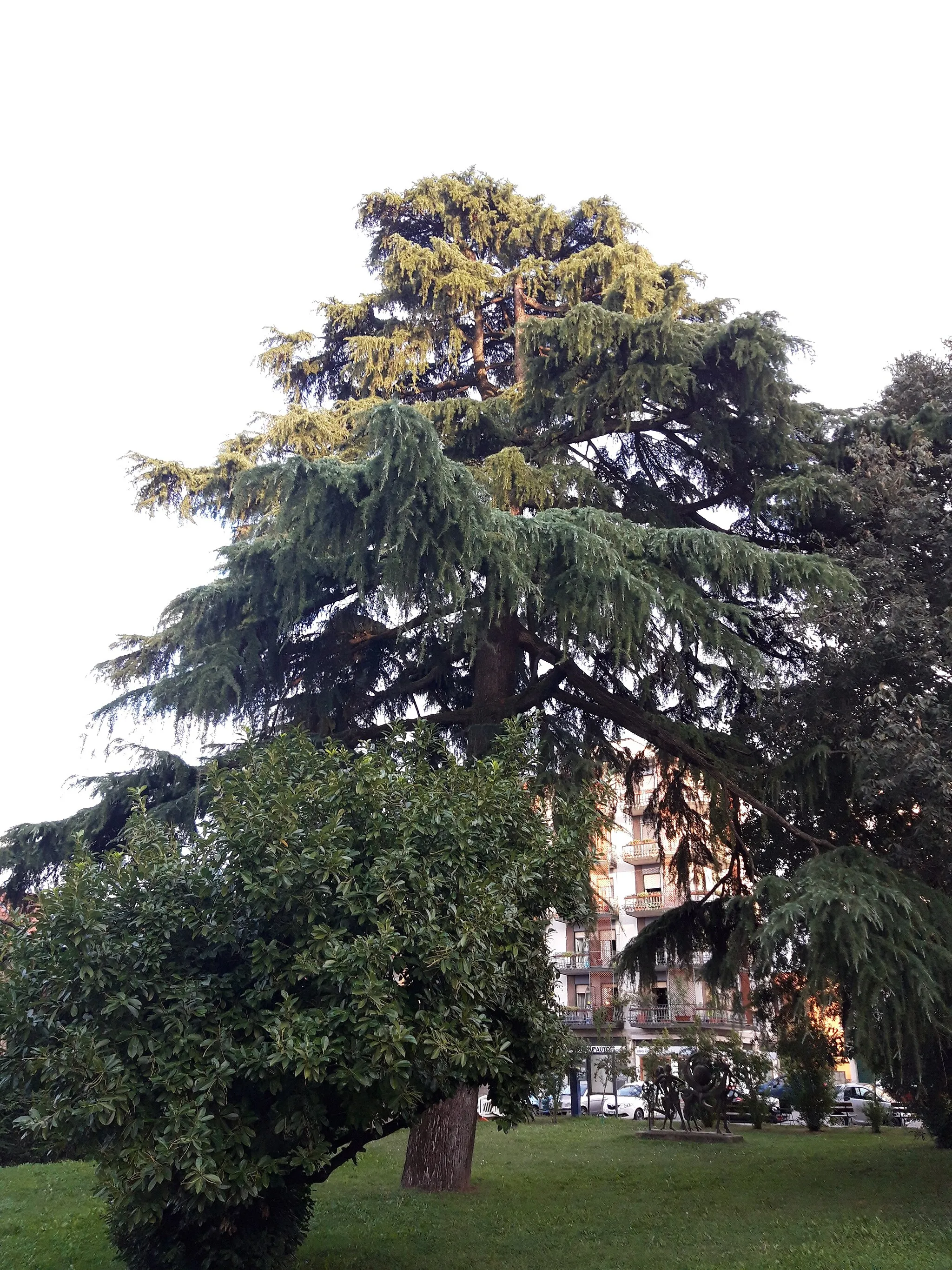 Photo showing: This is a photo of a monument which is part of cultural heritage of Italy. This monument participates in the contest Wiki Loves Monuments Italia 2020. See authorisations.