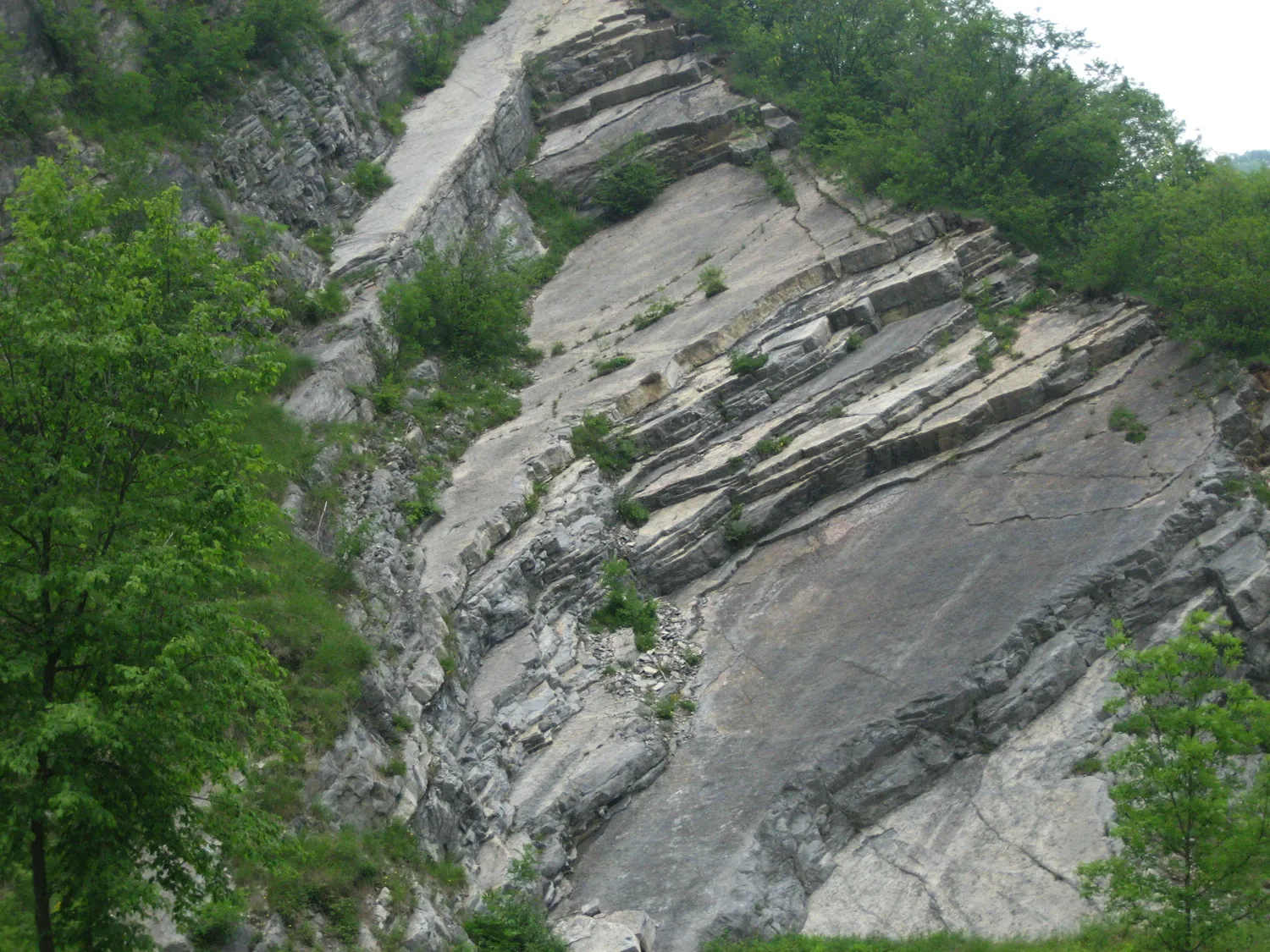 Photo showing: Stratificazione rocciosa nella Valle dell'Orso sul confine tra i comuni di Oneta e Gorno