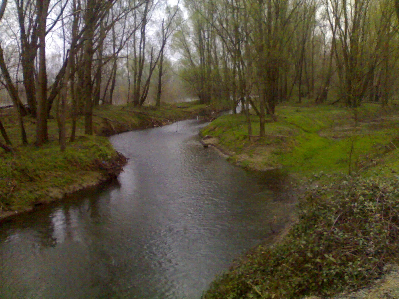 Photo showing: Roggia Nei Boschi dell'Adda A Rivolta d'Adda