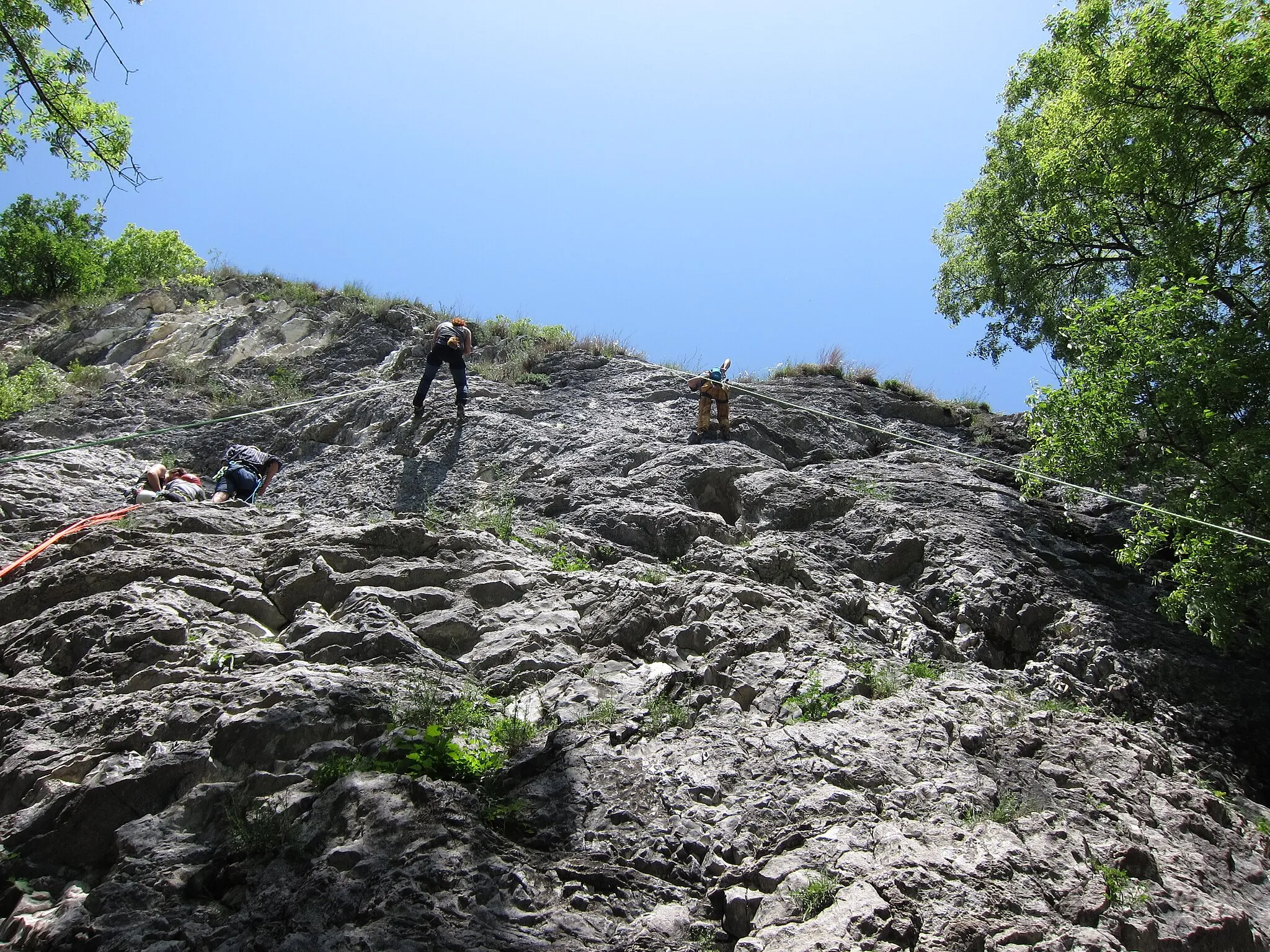 Photo showing: Limestone rock wall prepared with blots and fixed belay for purpose of rock sport climbing. The cliff named "Falesia del Picuz" is located in the town Sangiano, (Varese, Italy). Picture was taken on the 6th of May 2018. 2018-05-06