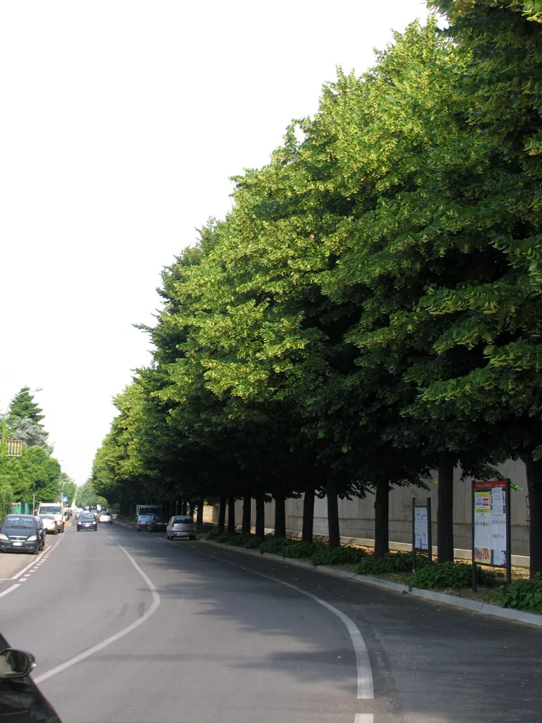 Immagine di Lombardia