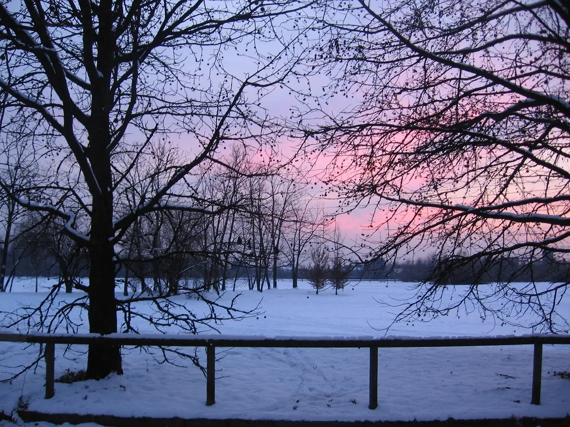 Photo showing: Parco Porada in veste invernale - febbraio 2012