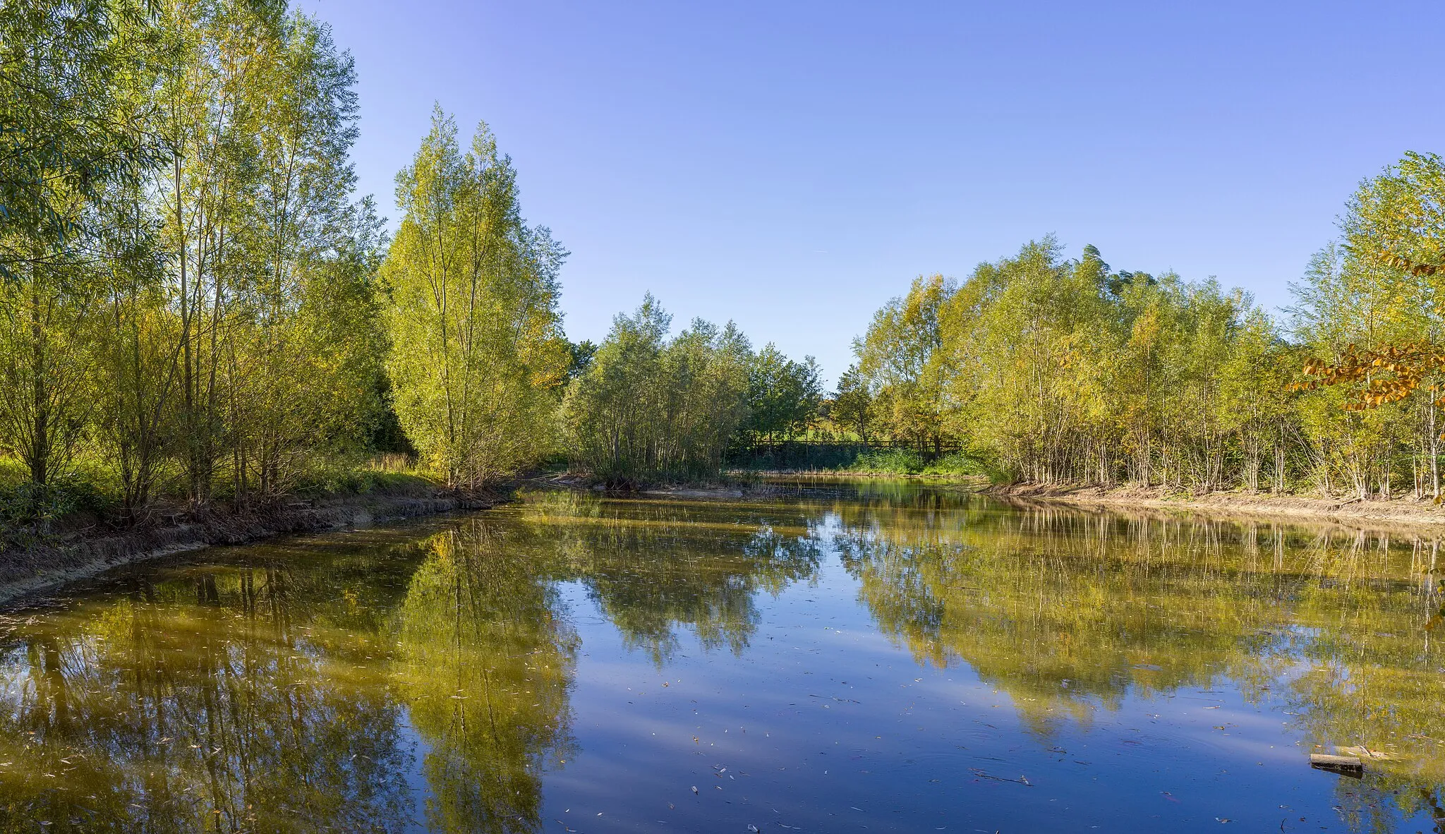 Photo showing: Büs de la Palü pond in the natural reserve of Manerba del Garda.