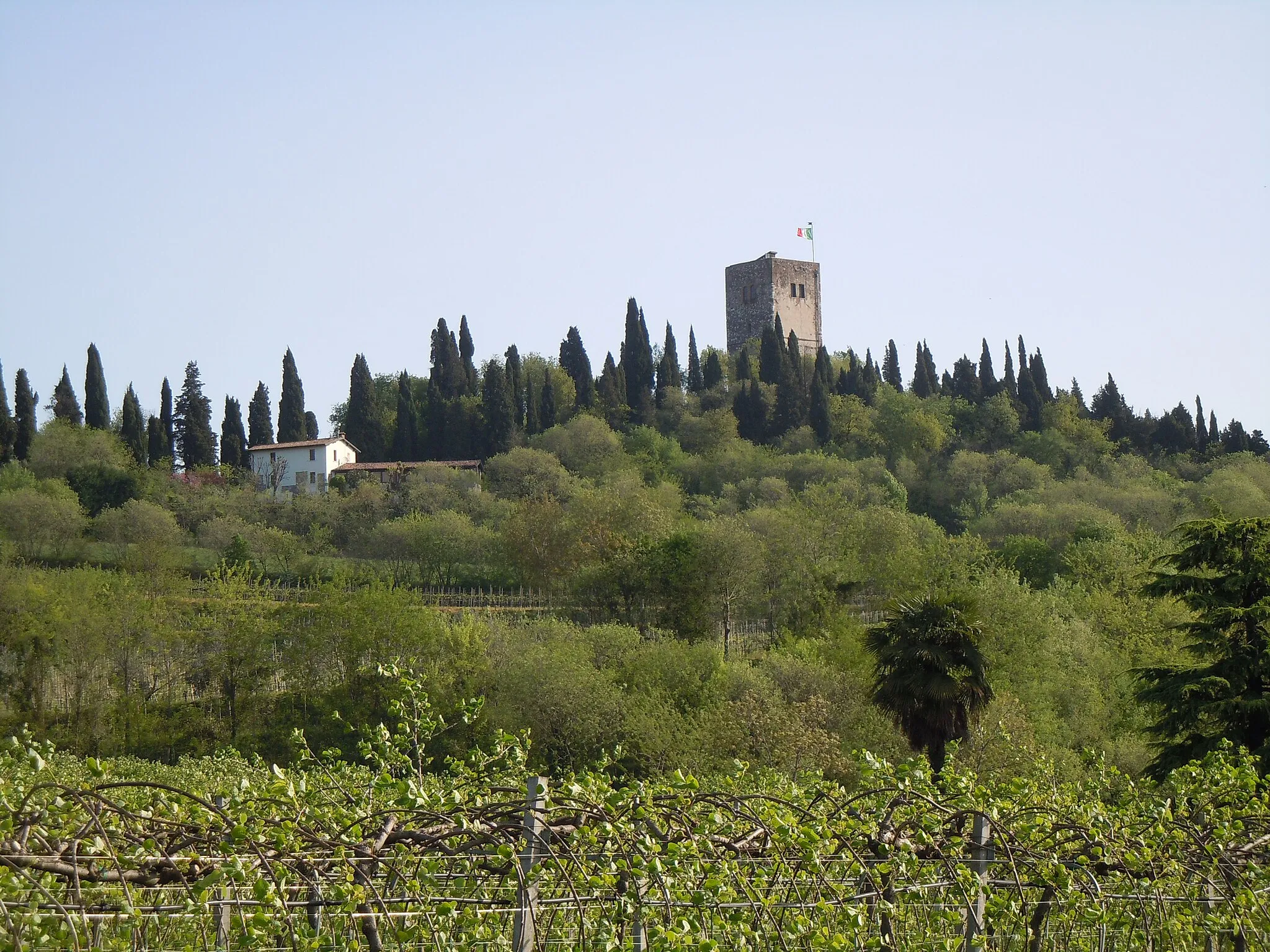 Photo showing: Solferino, la rocca.