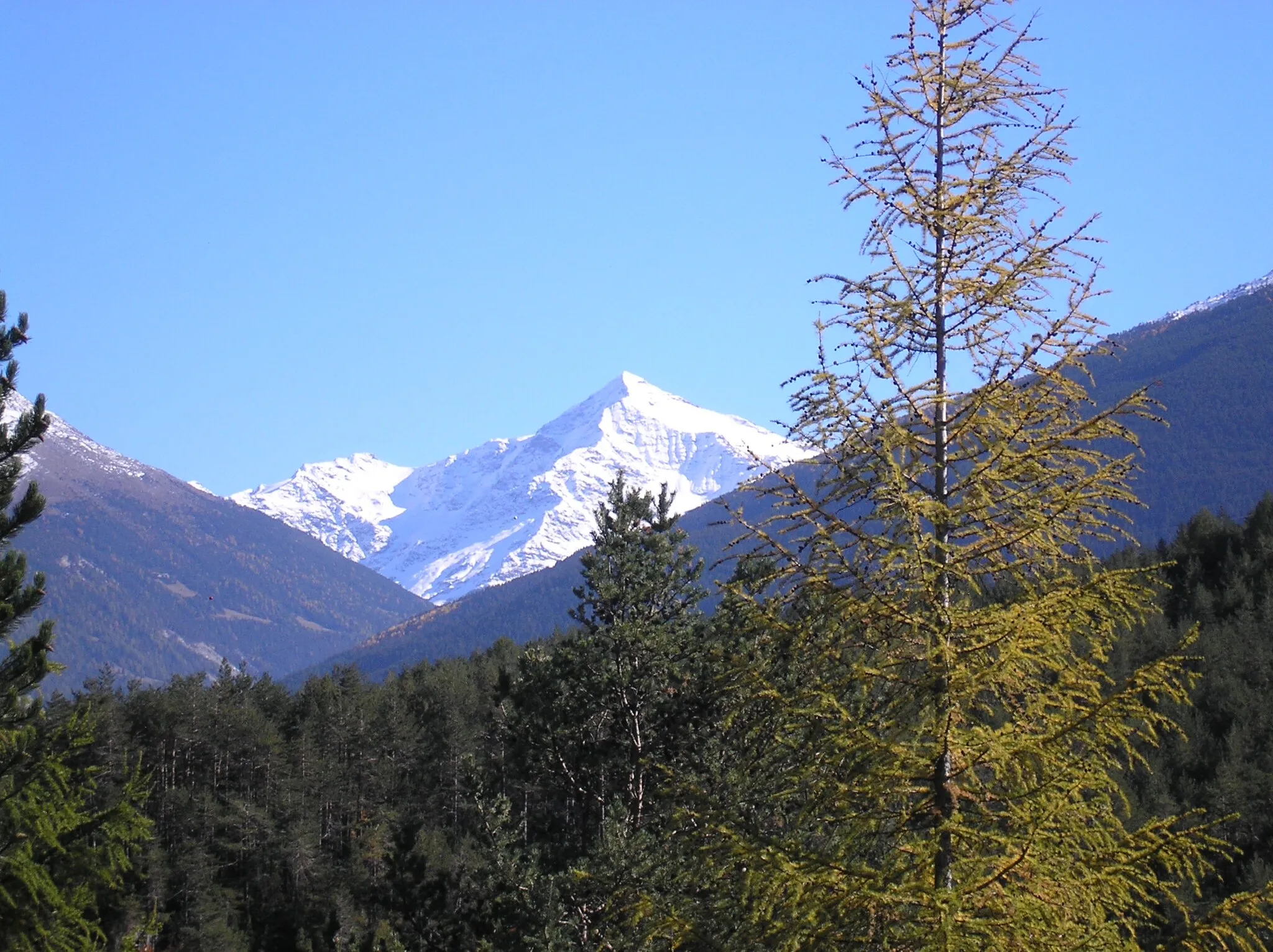 Photo showing: Il monte Tresero che domina la Valfurva