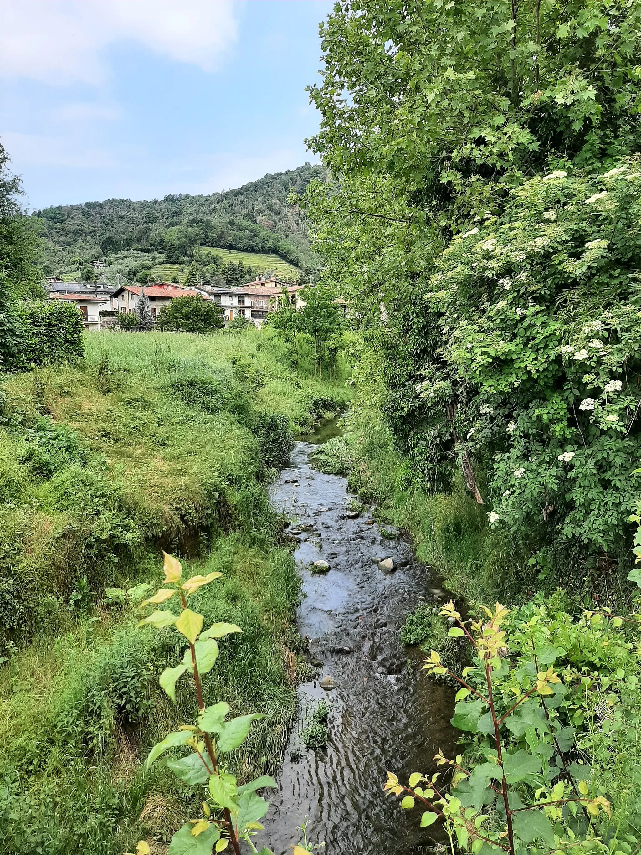 Photo showing: Torrente Uria - Villongo