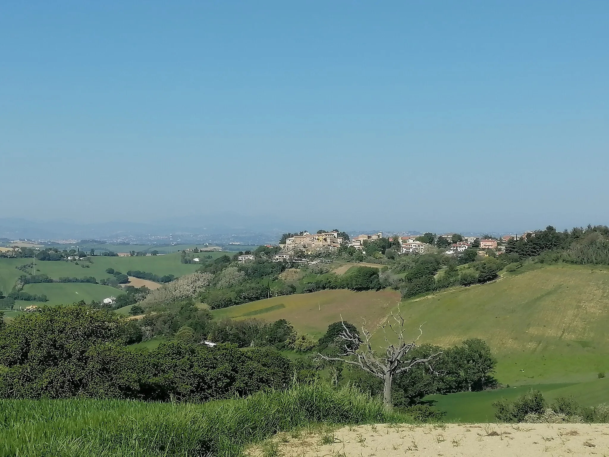 Photo showing: Castel d'Emilio - Agugliano (AN), Panorama