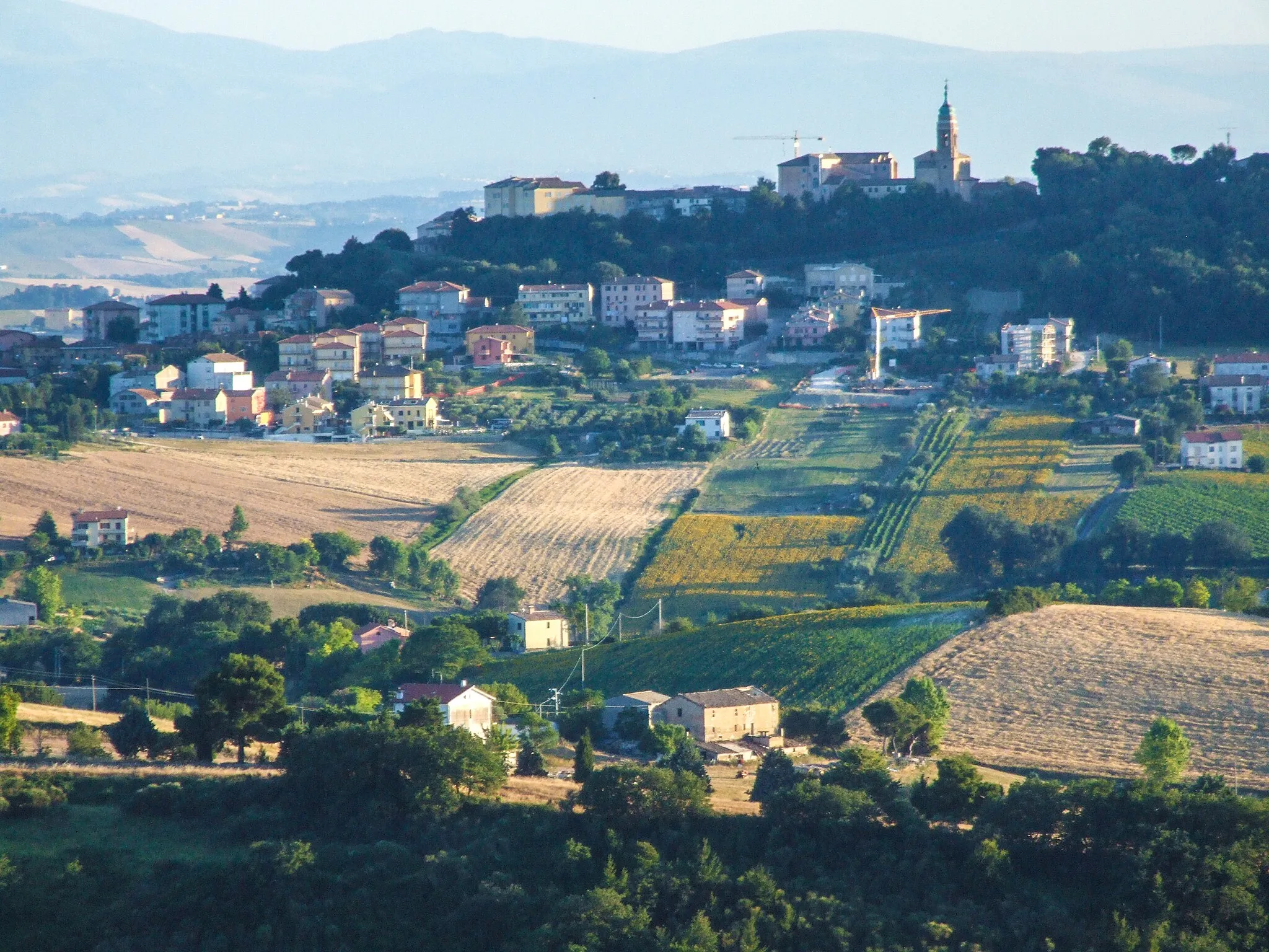 Image of Marche