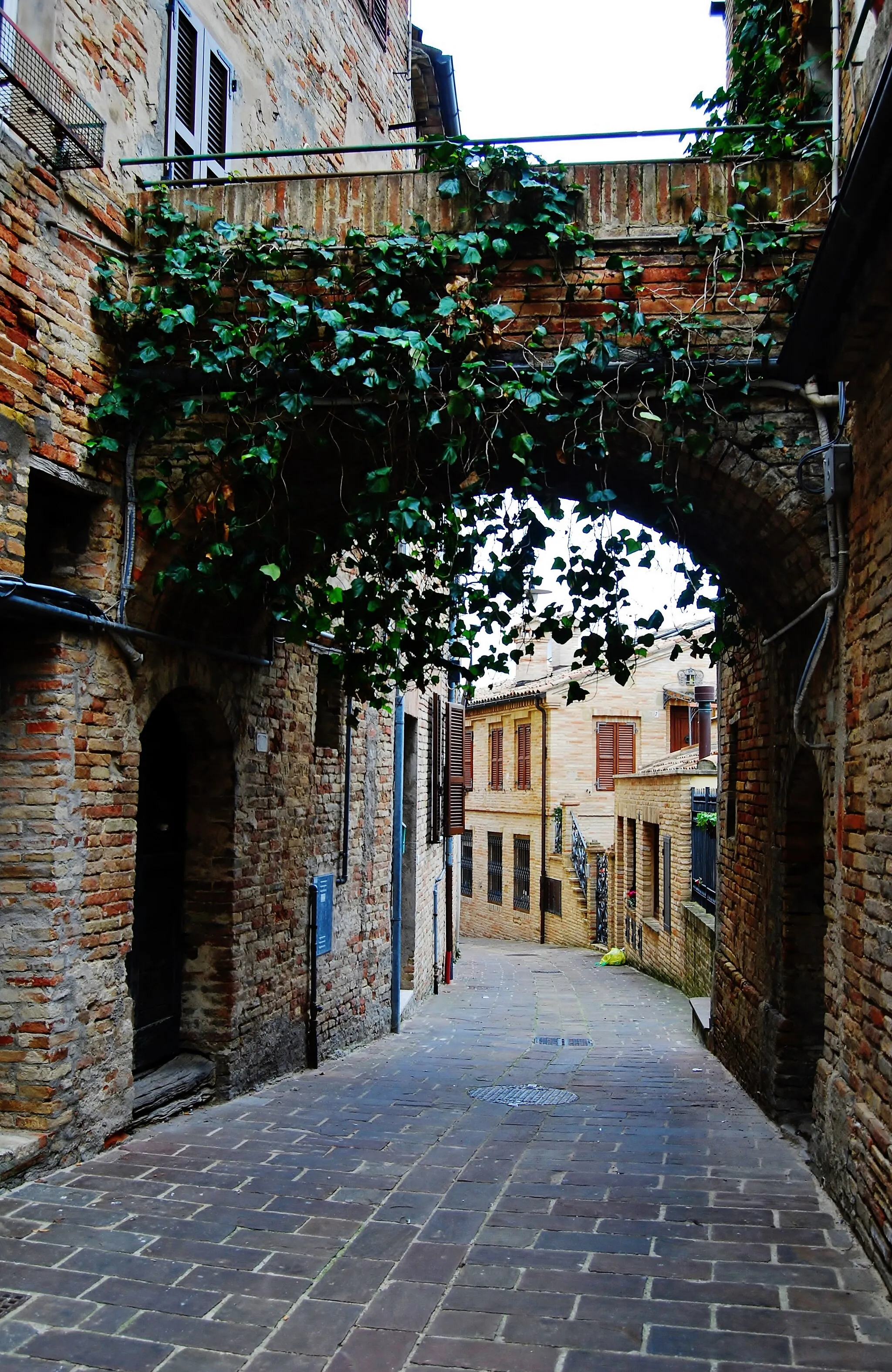 Photo showing: Vicolo San Salvatore