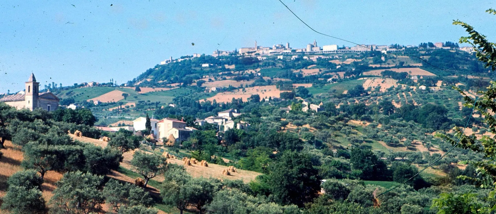 Image of Marche