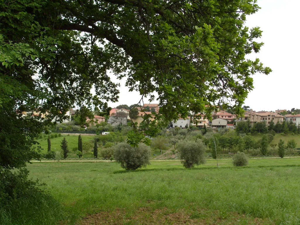 Photo showing: This is a view from a field near the bicycle track of Civitanova Marche