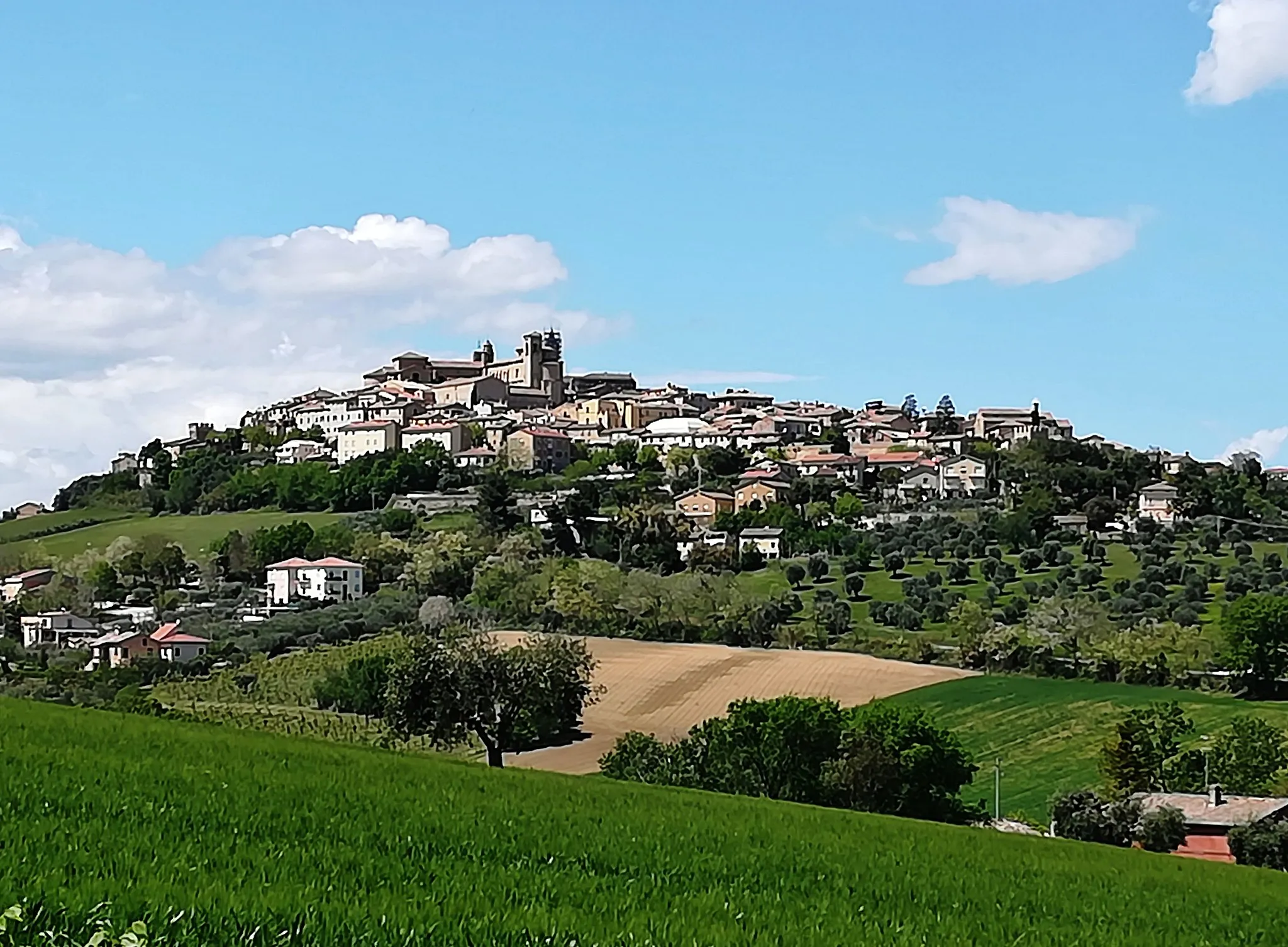 Photo showing: Veduta di Civitanova Alta