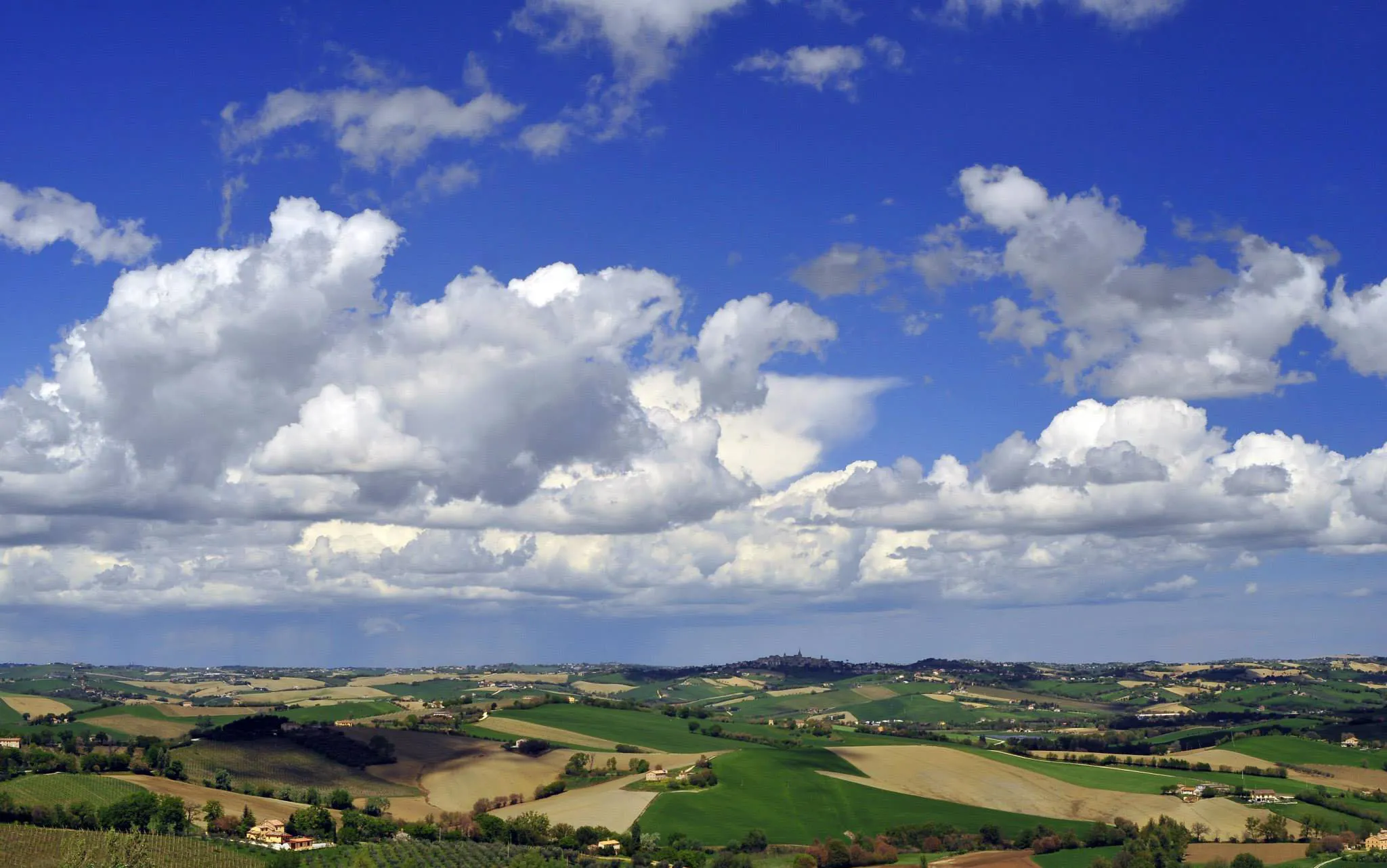 Photo showing: Colline della campagna di Montecarotto