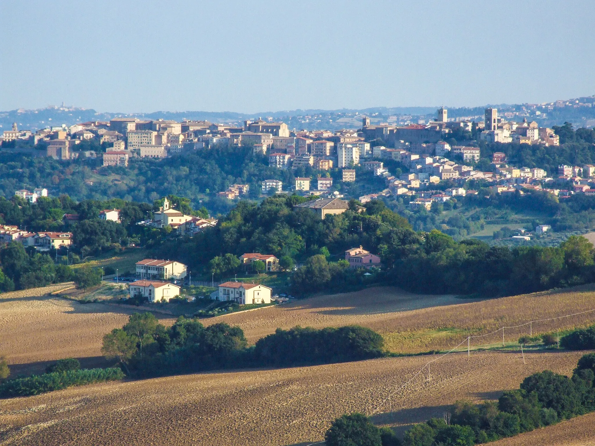 Image of Osimo