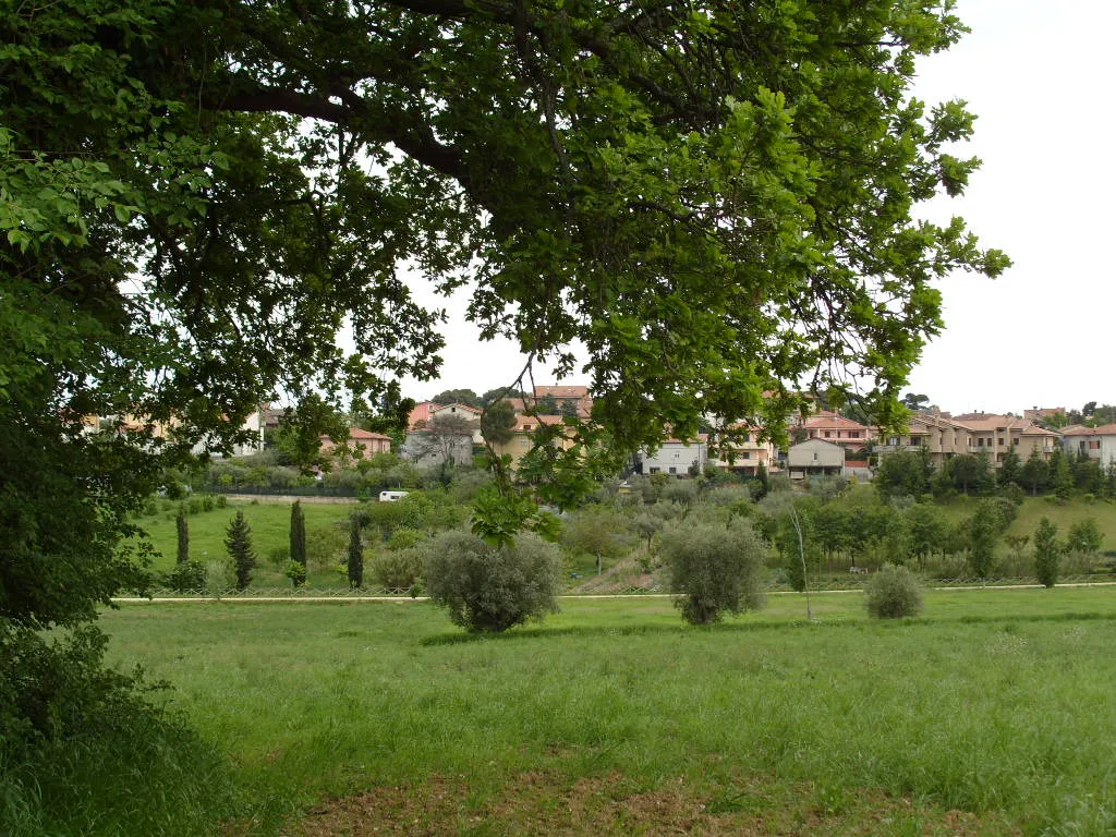 Image of Marche